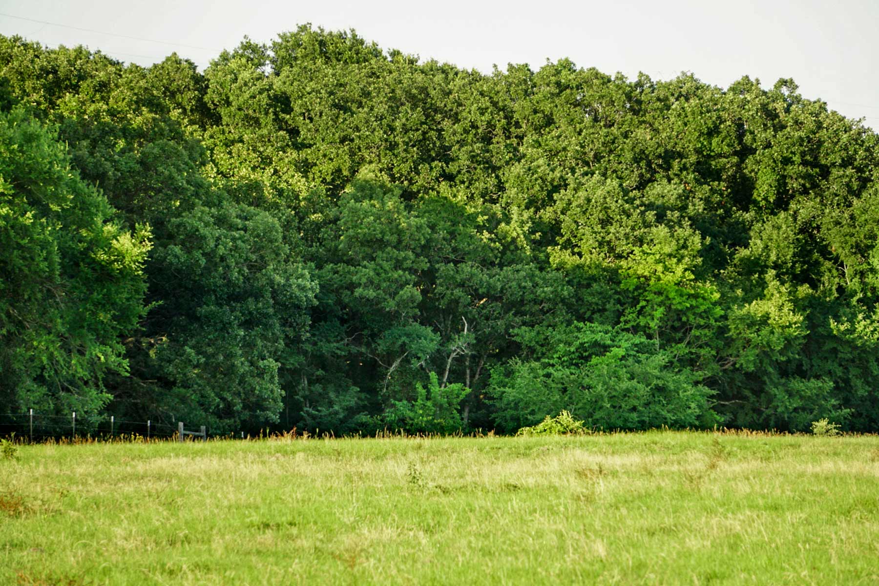 Cross Roads Pasture property picture 2 of 16