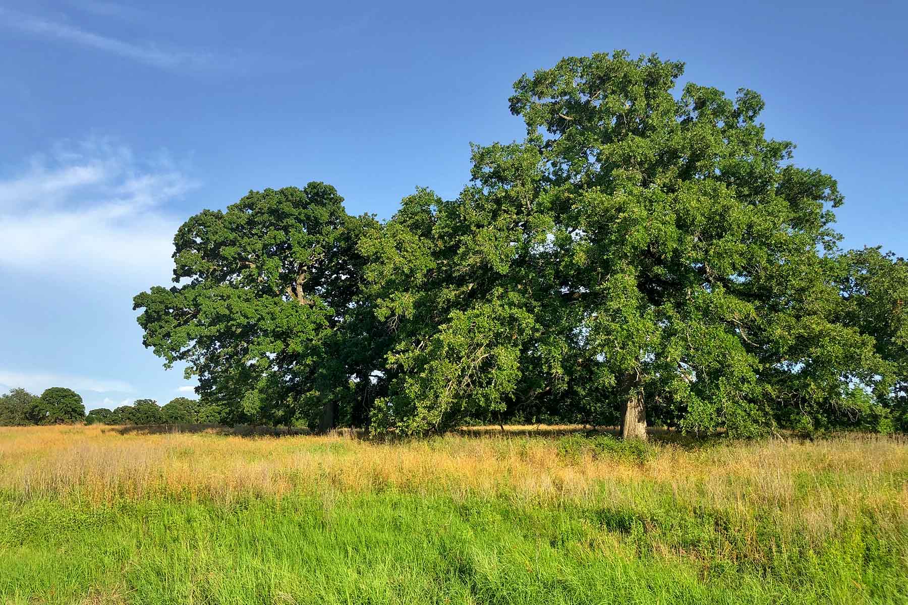 Round Lake Ranch property picture 24 of 43