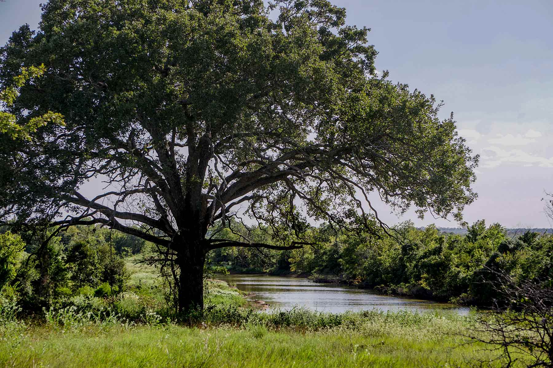 Round Lake Ranch property picture 25 of 43