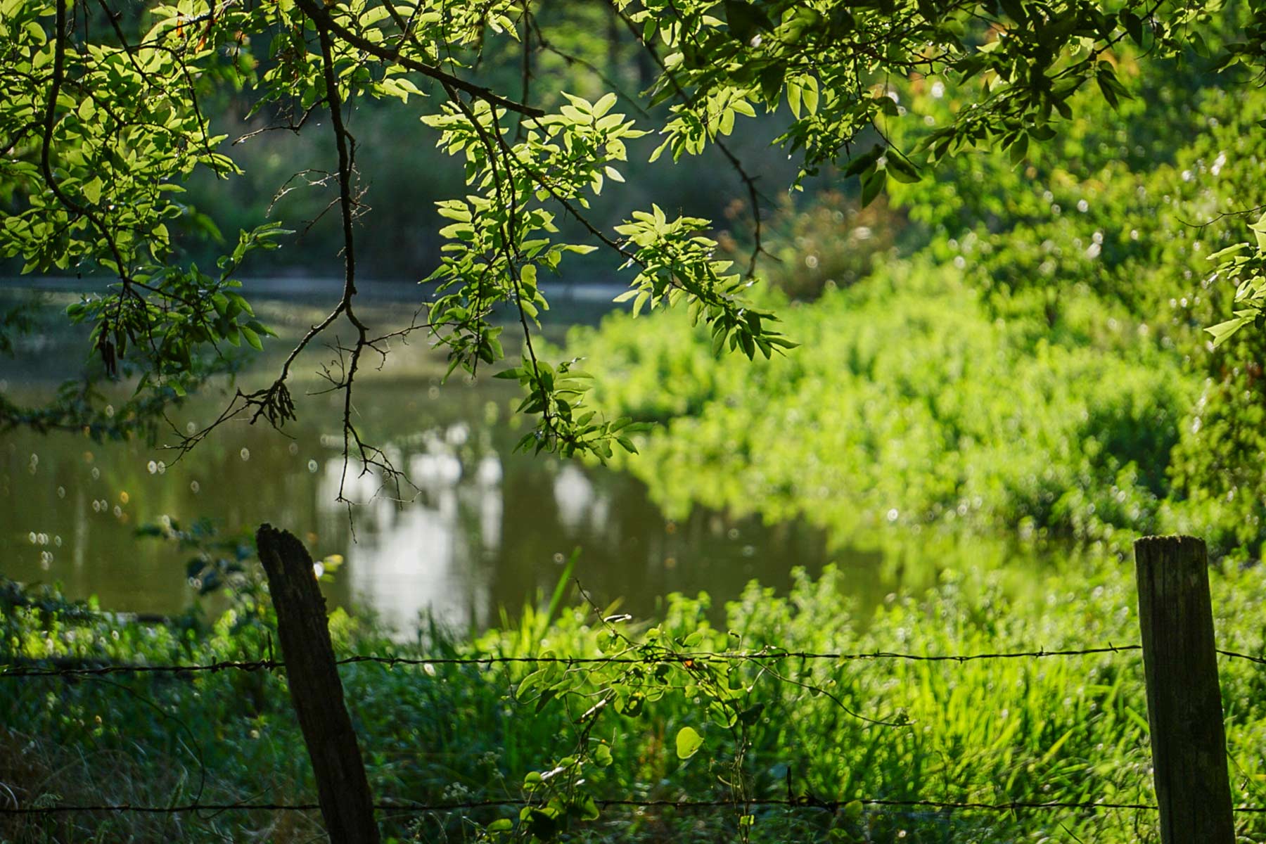 Round Lake Ranch property picture 11 of 43