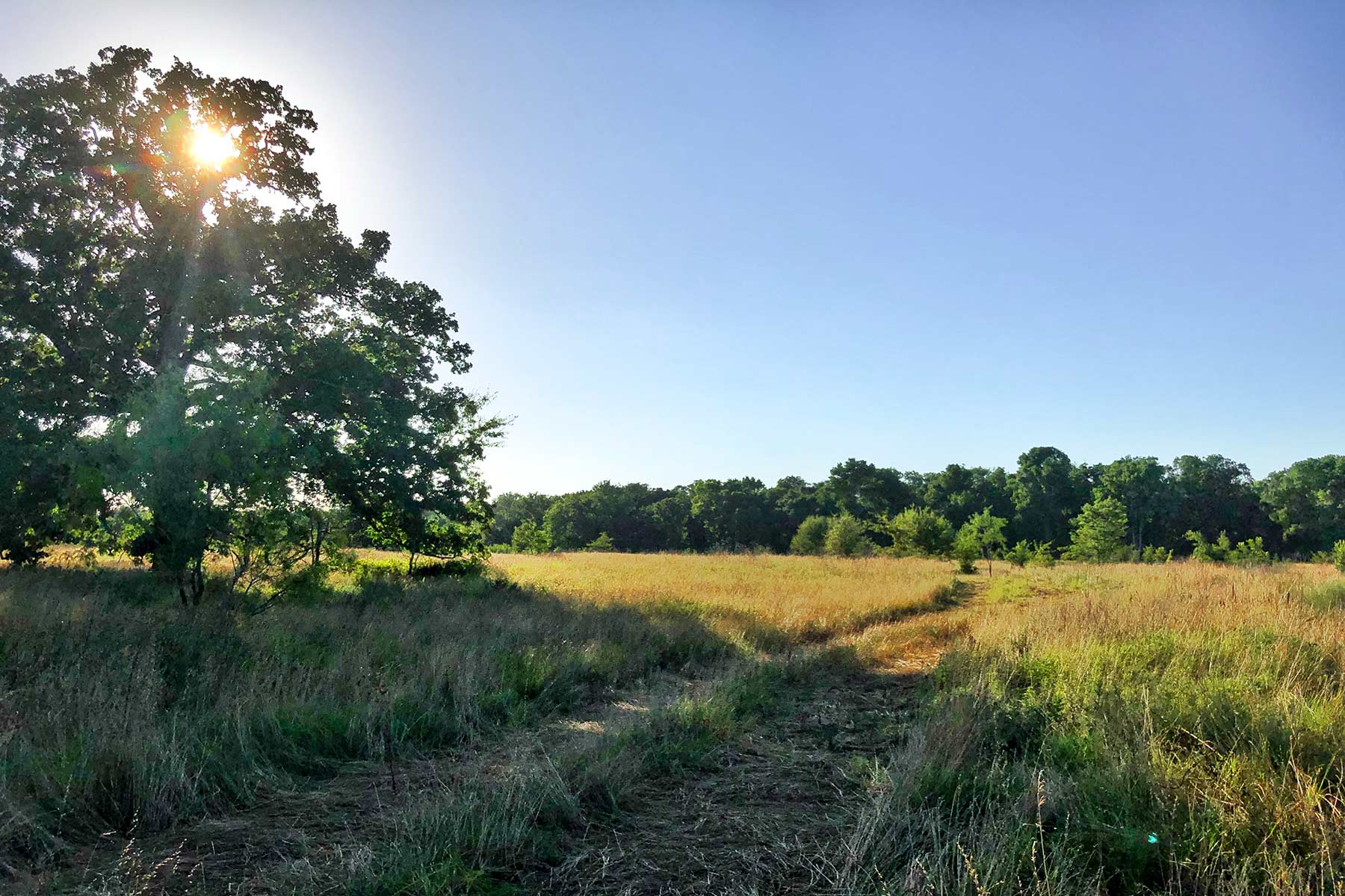 Round Lake Ranch property picture 7 of 43