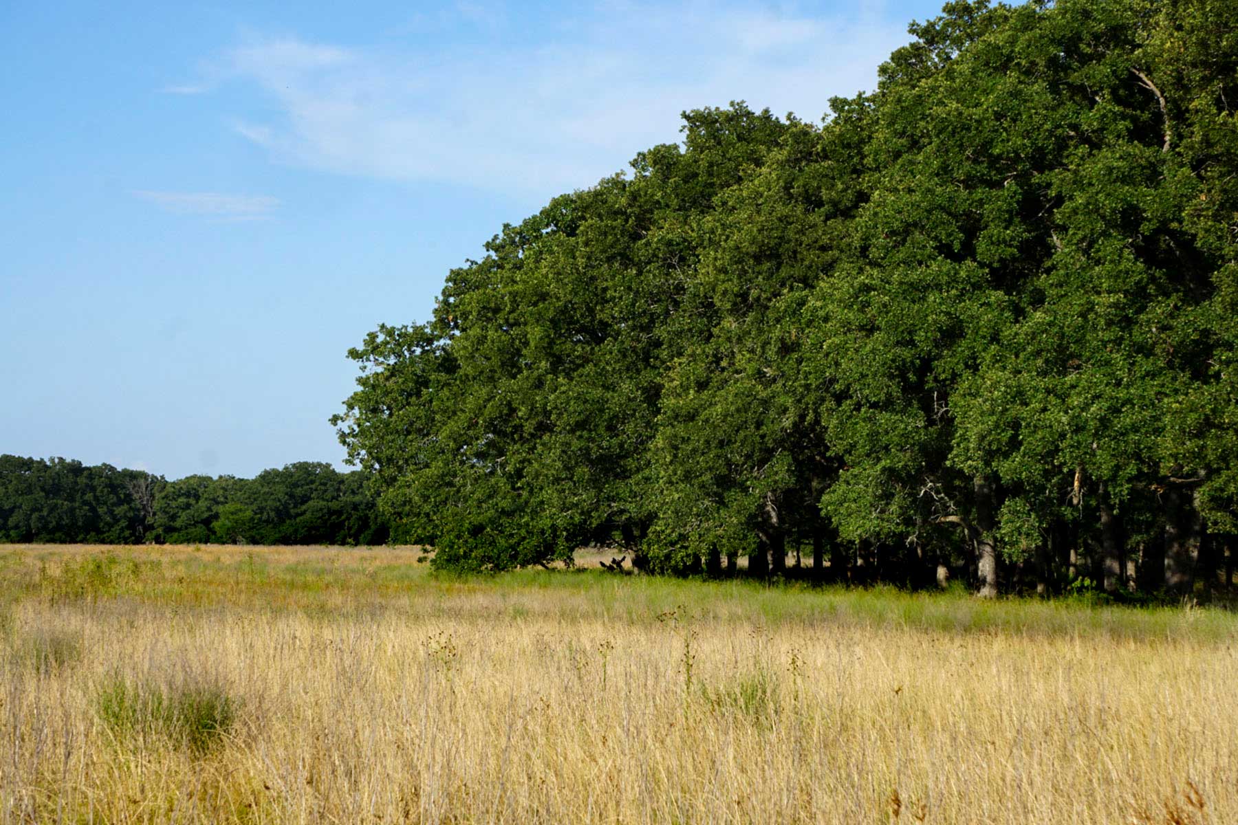 Round Lake Ranch property picture 37 of 43