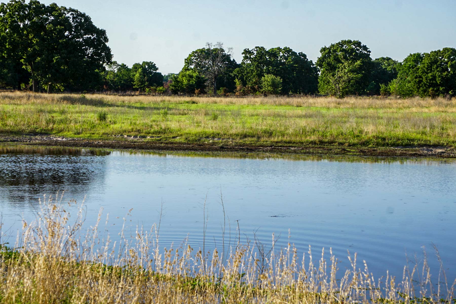Round Lake Ranch property picture 10 of 43