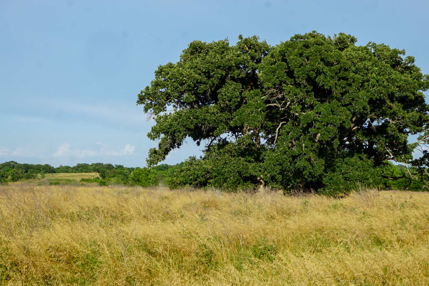 Round Lake Ranch property picture 41 of 43