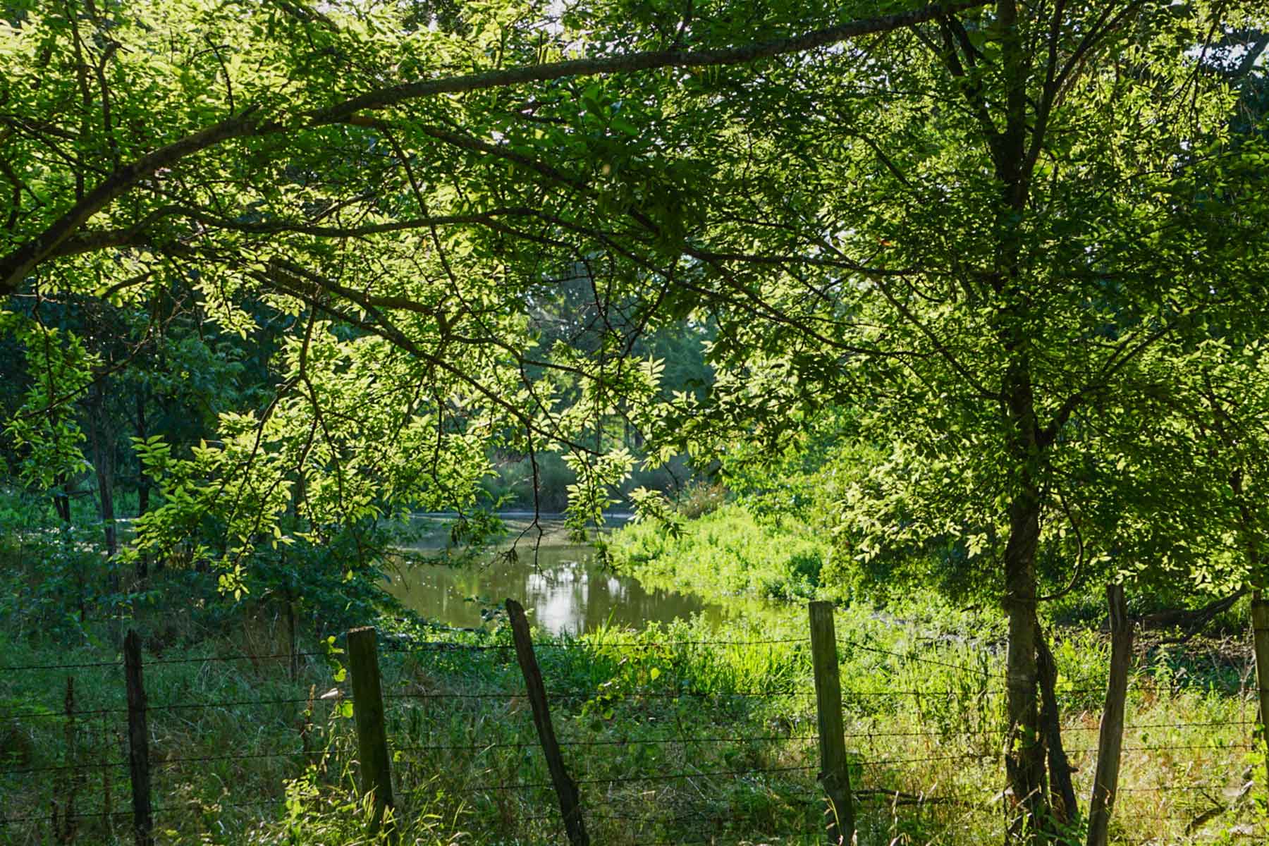 Round Lake Ranch property picture 18 of 43
