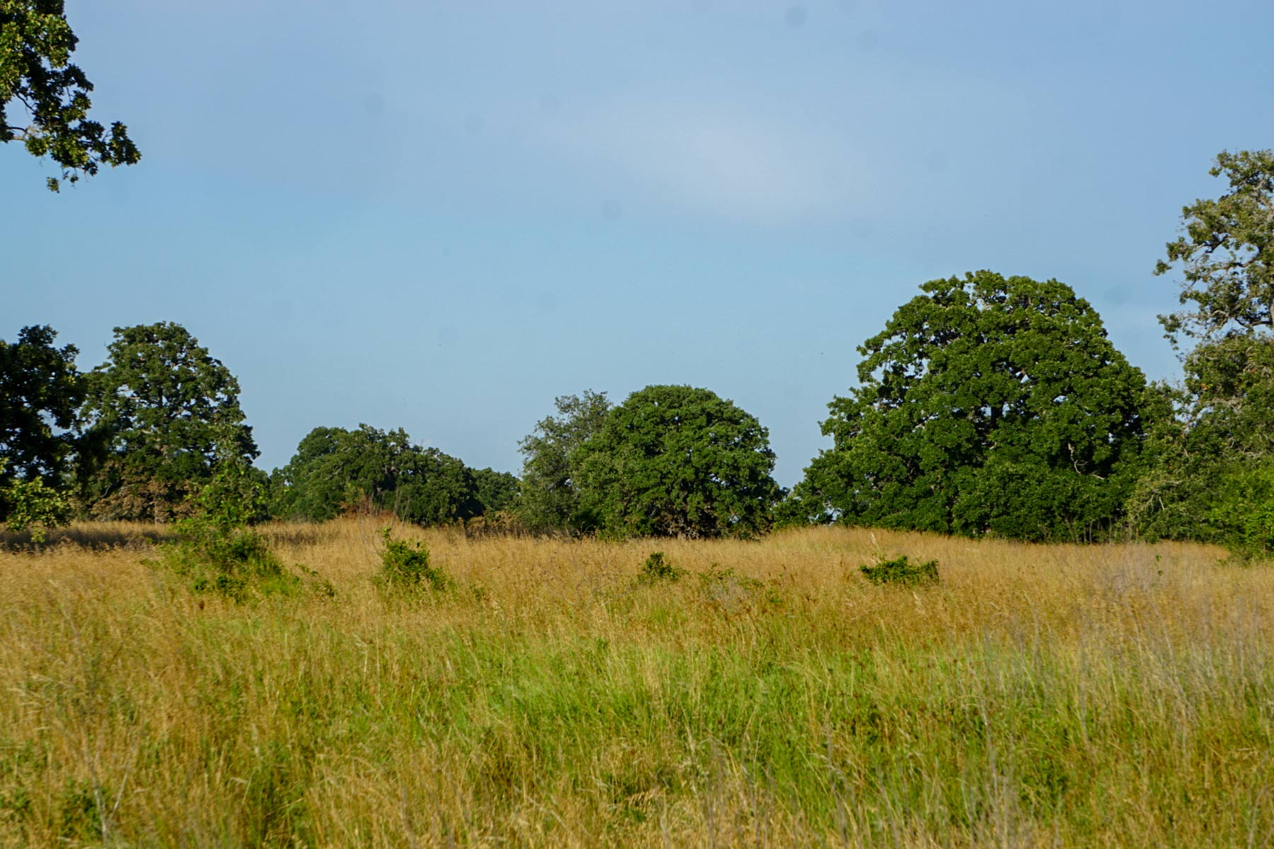 Round Lake Ranch property picture 34 of 43