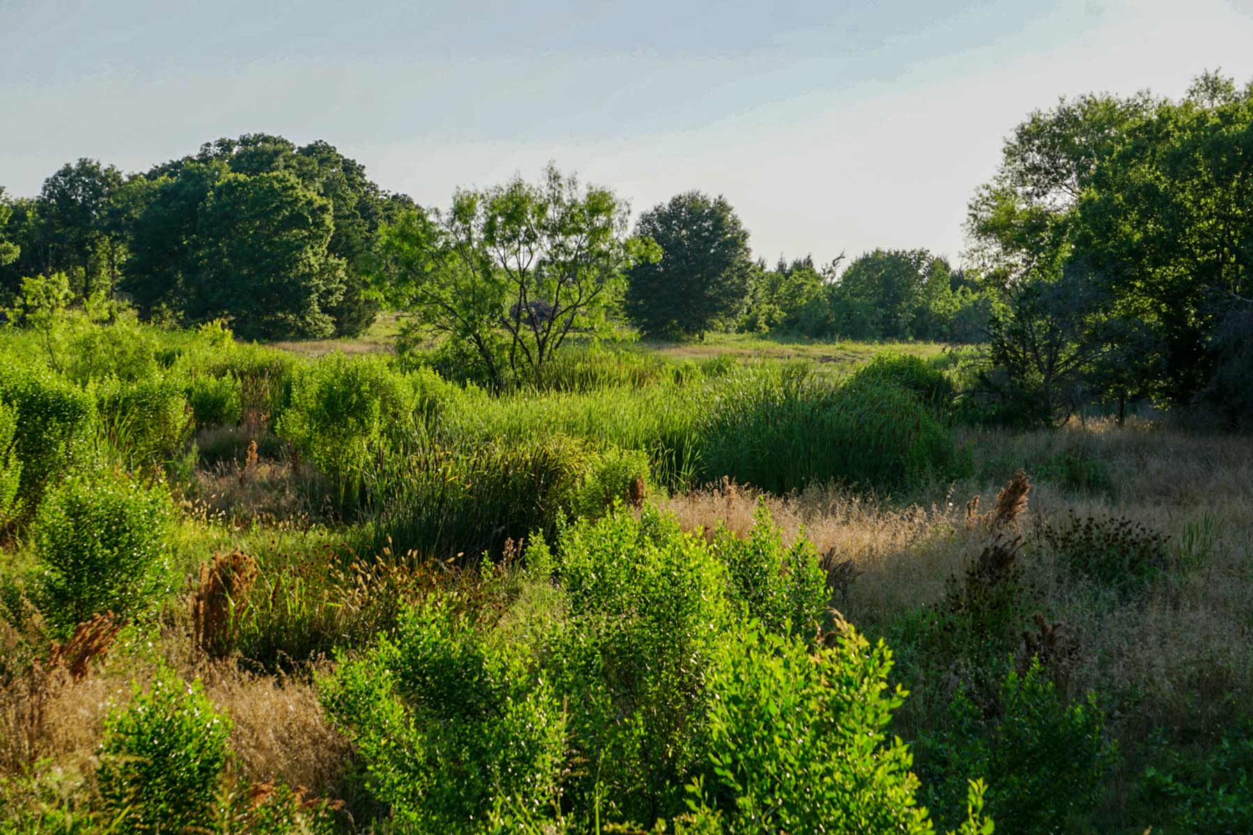 Round Lake Ranch property picture 13 of 43
