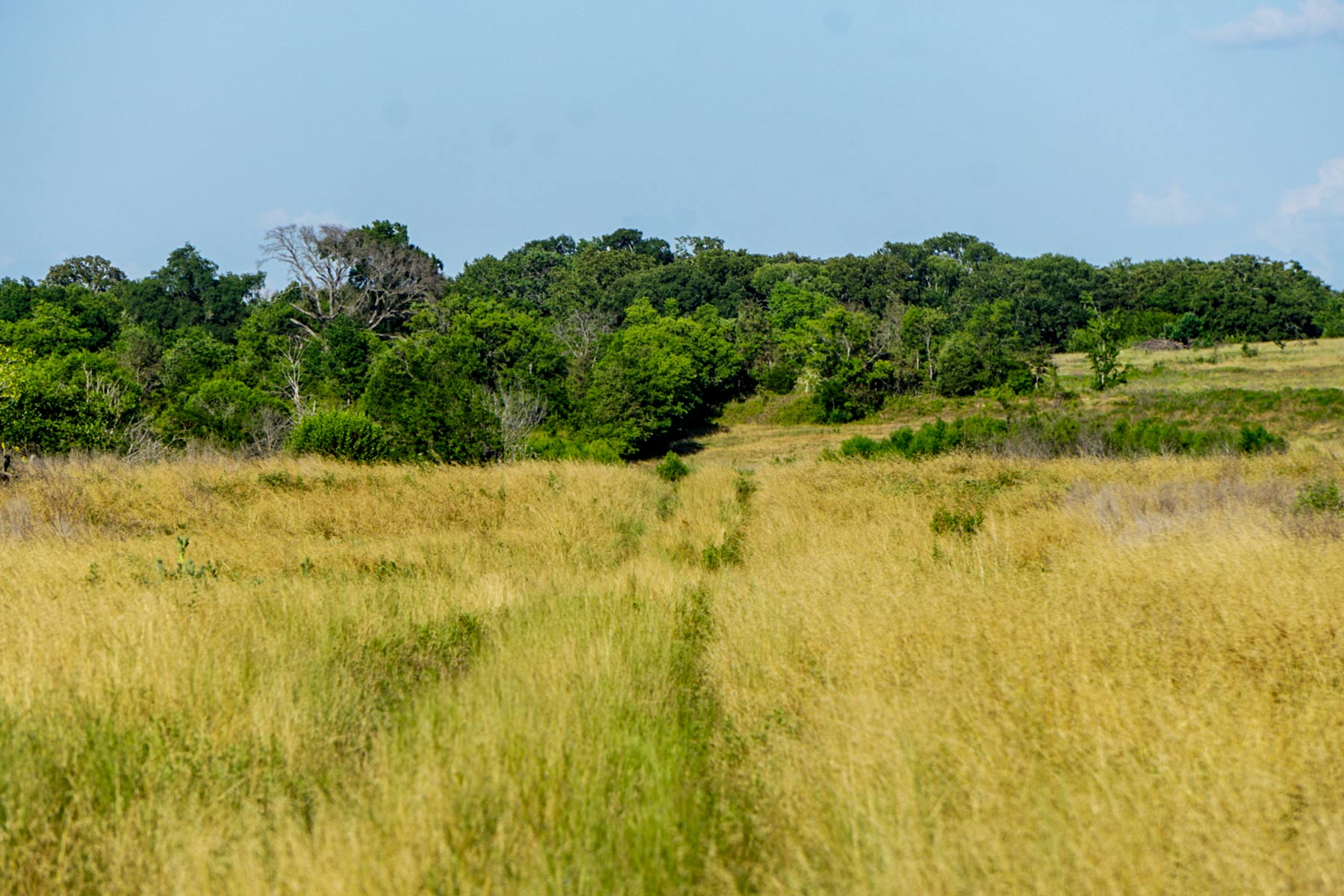 Round Lake Ranch property picture 20 of 43