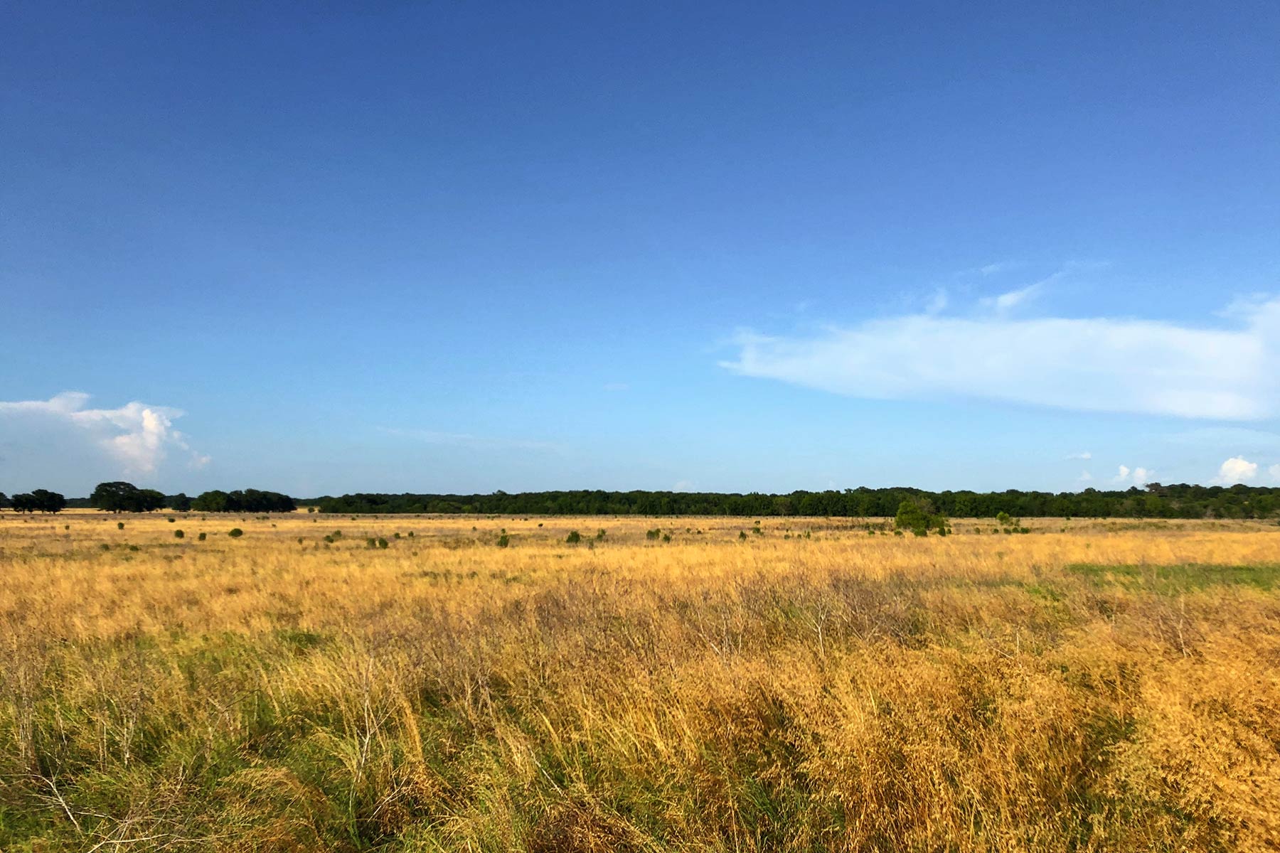 Round Lake Ranch property picture 26 of 43