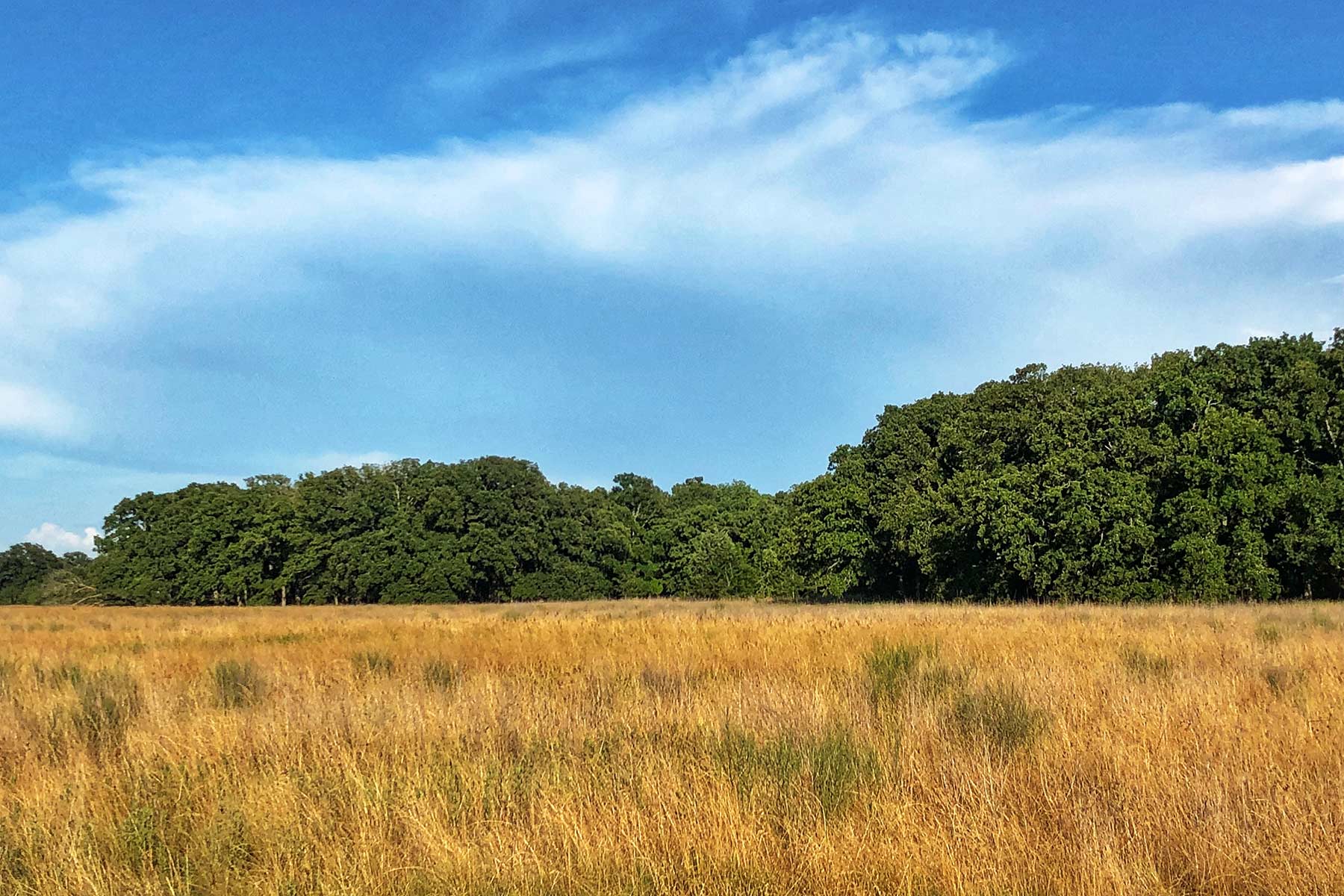 Round Lake Ranch property picture 32 of 43