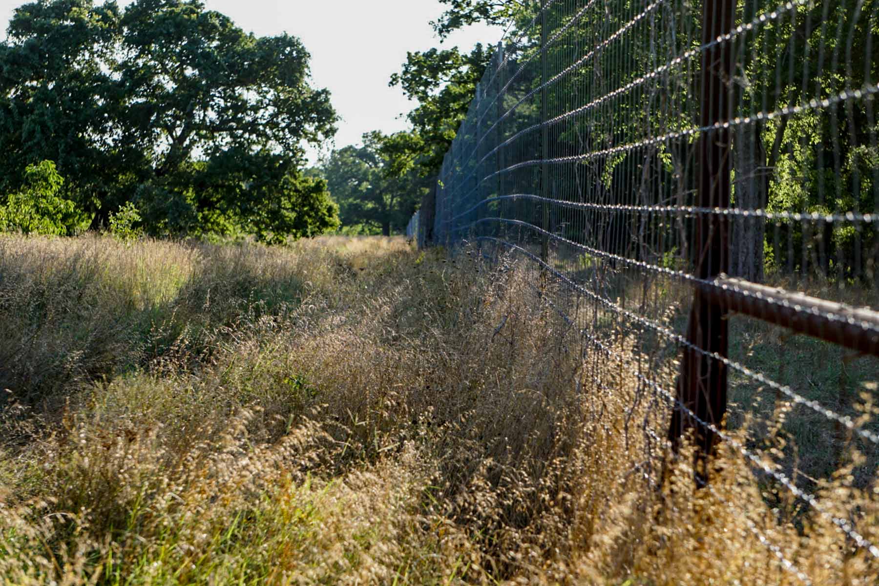 Round Lake Ranch property picture 8 of 43