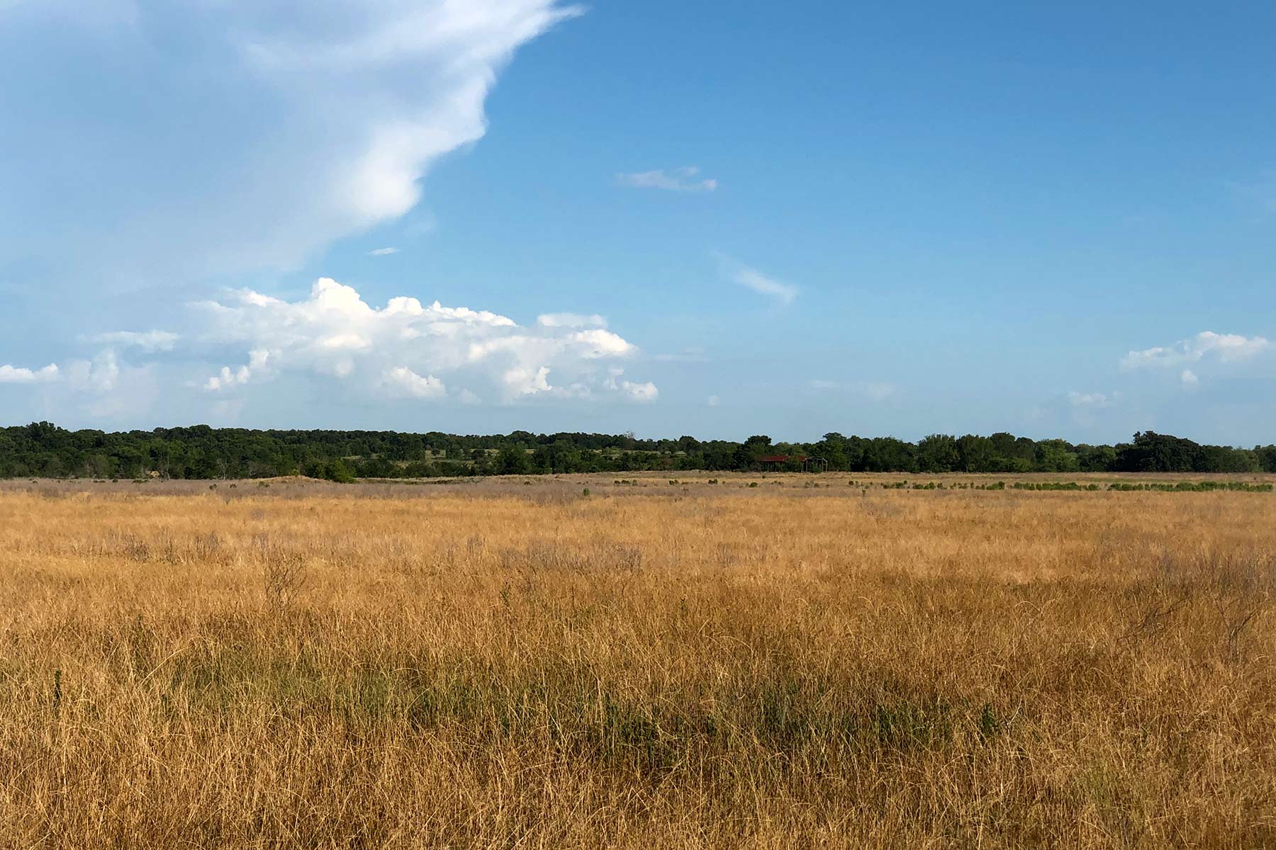 Round Lake Ranch property picture 29 of 43