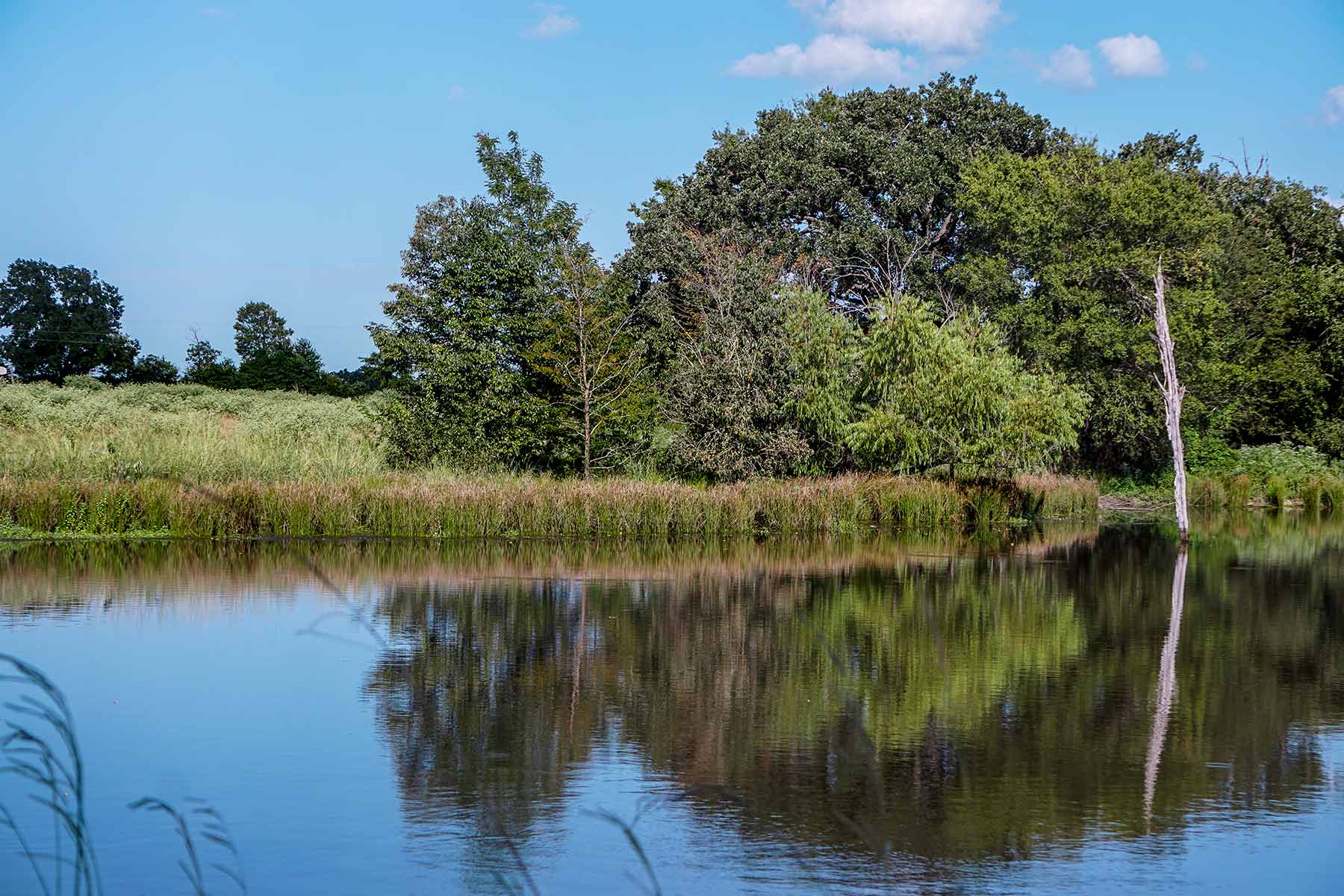 Round Lake Ranch property picture 2 of 43