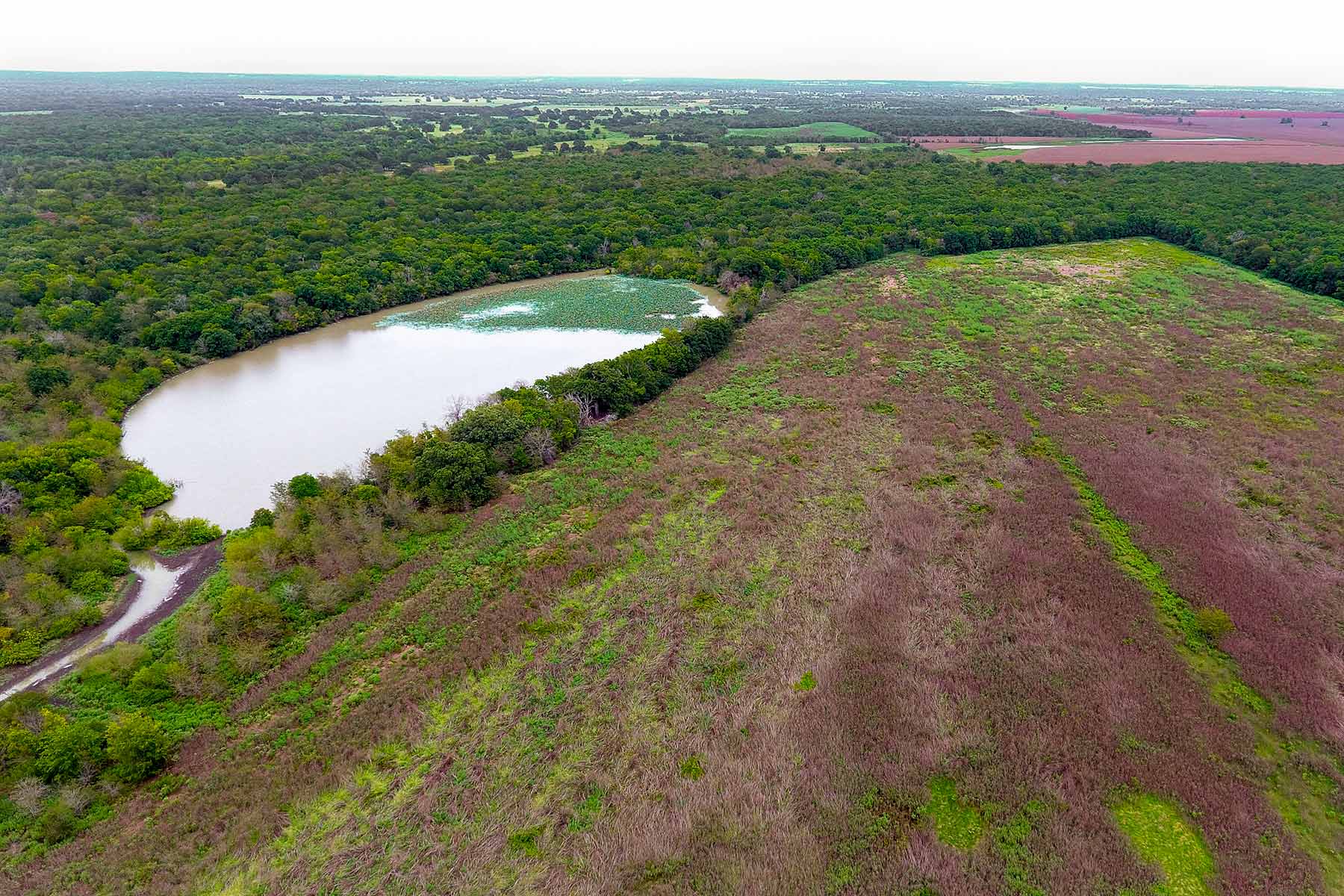 Round Lake Ranch property picture 23 of 43