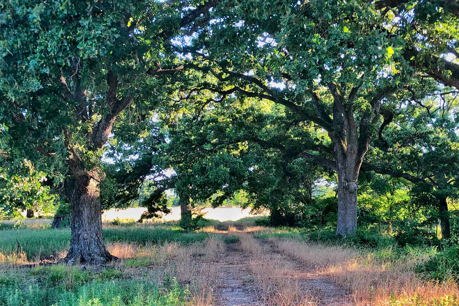 Round Lake Ranch property picture 3 of 43