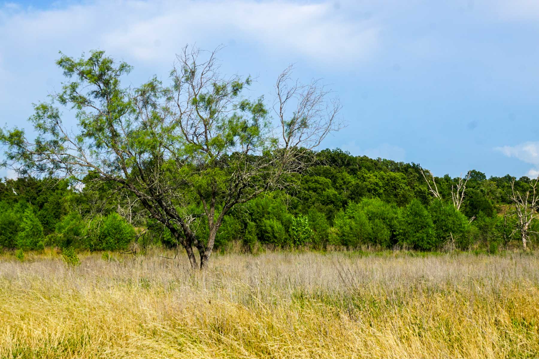Round Lake Ranch property picture 31 of 43