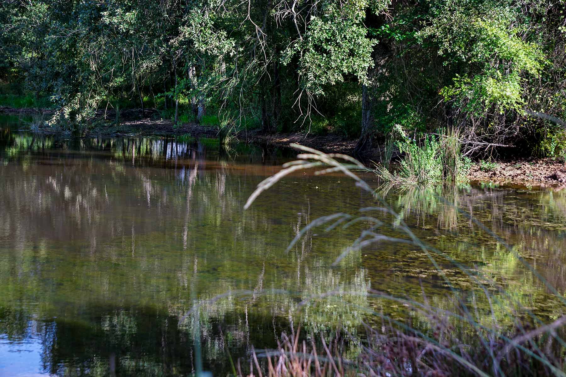 Round Lake Ranch property picture 15 of 43