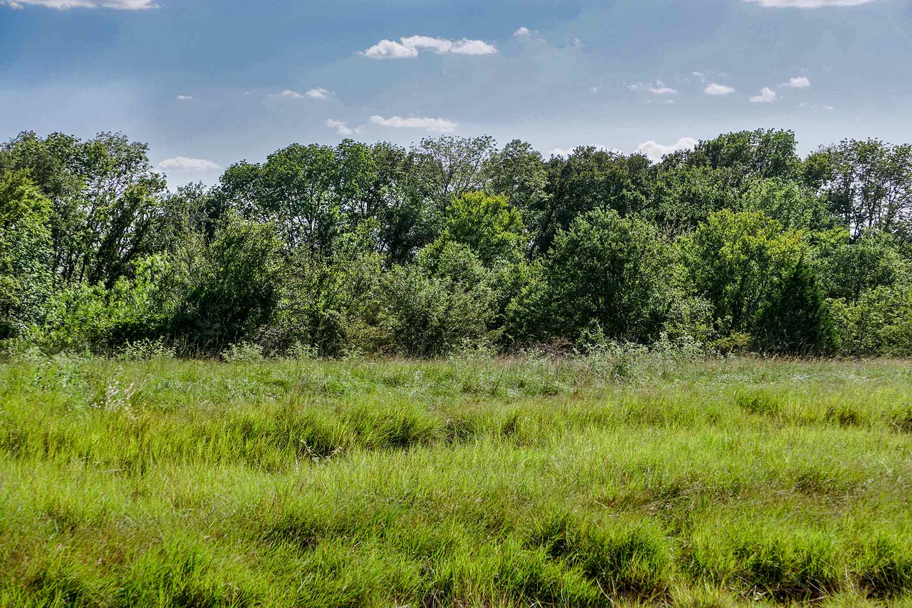 Round Lake Ranch property picture 36 of 43