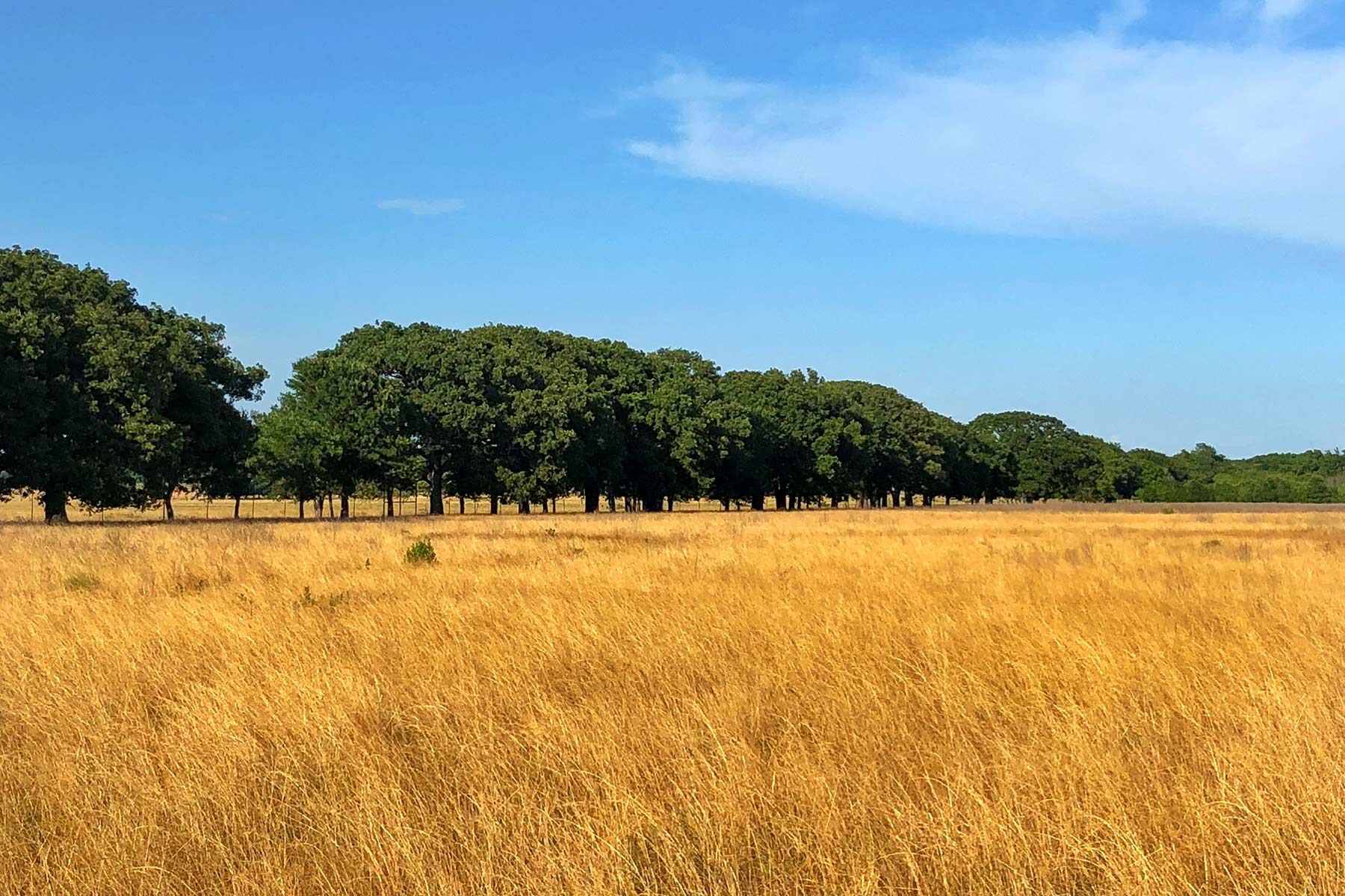 Round Lake Ranch property picture 17 of 43