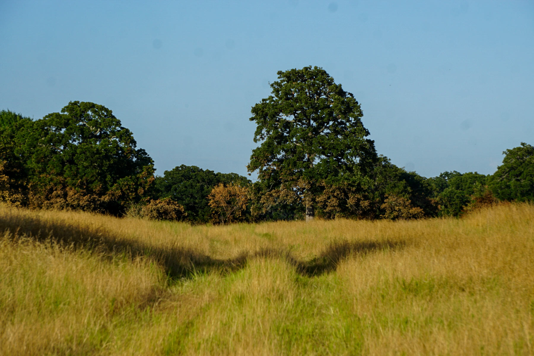 Round Lake Ranch property picture 43 of 43