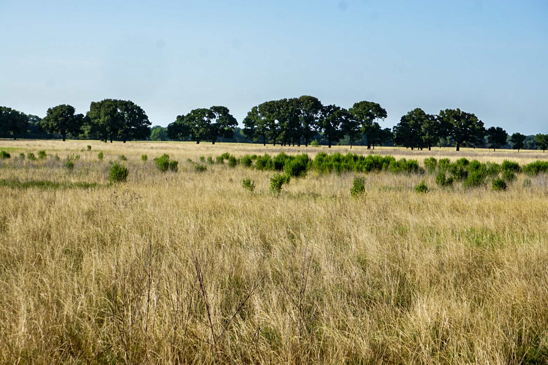 Round Lake Ranch property picture 9 of 43
