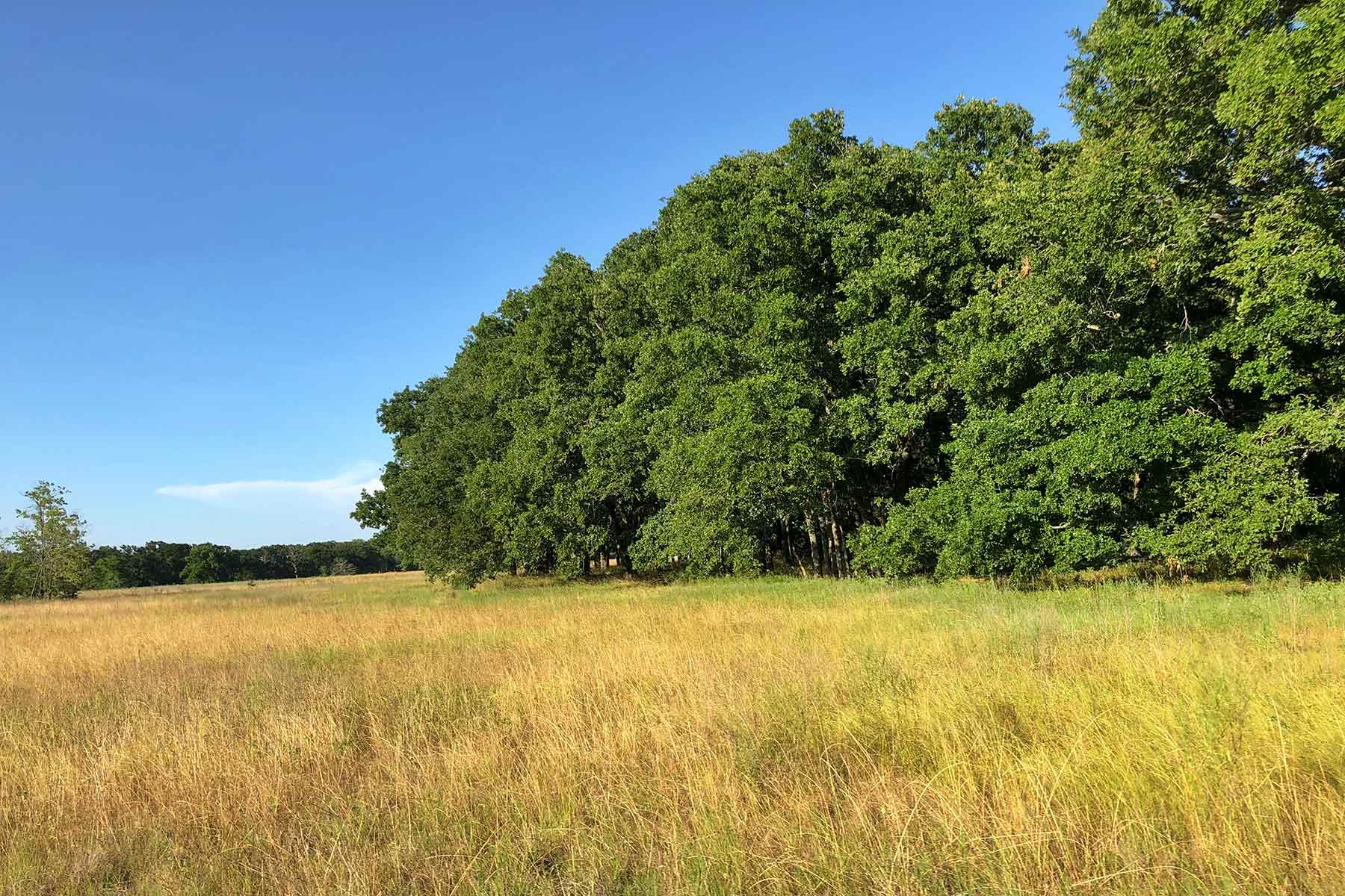Round Lake Ranch property picture 28 of 43