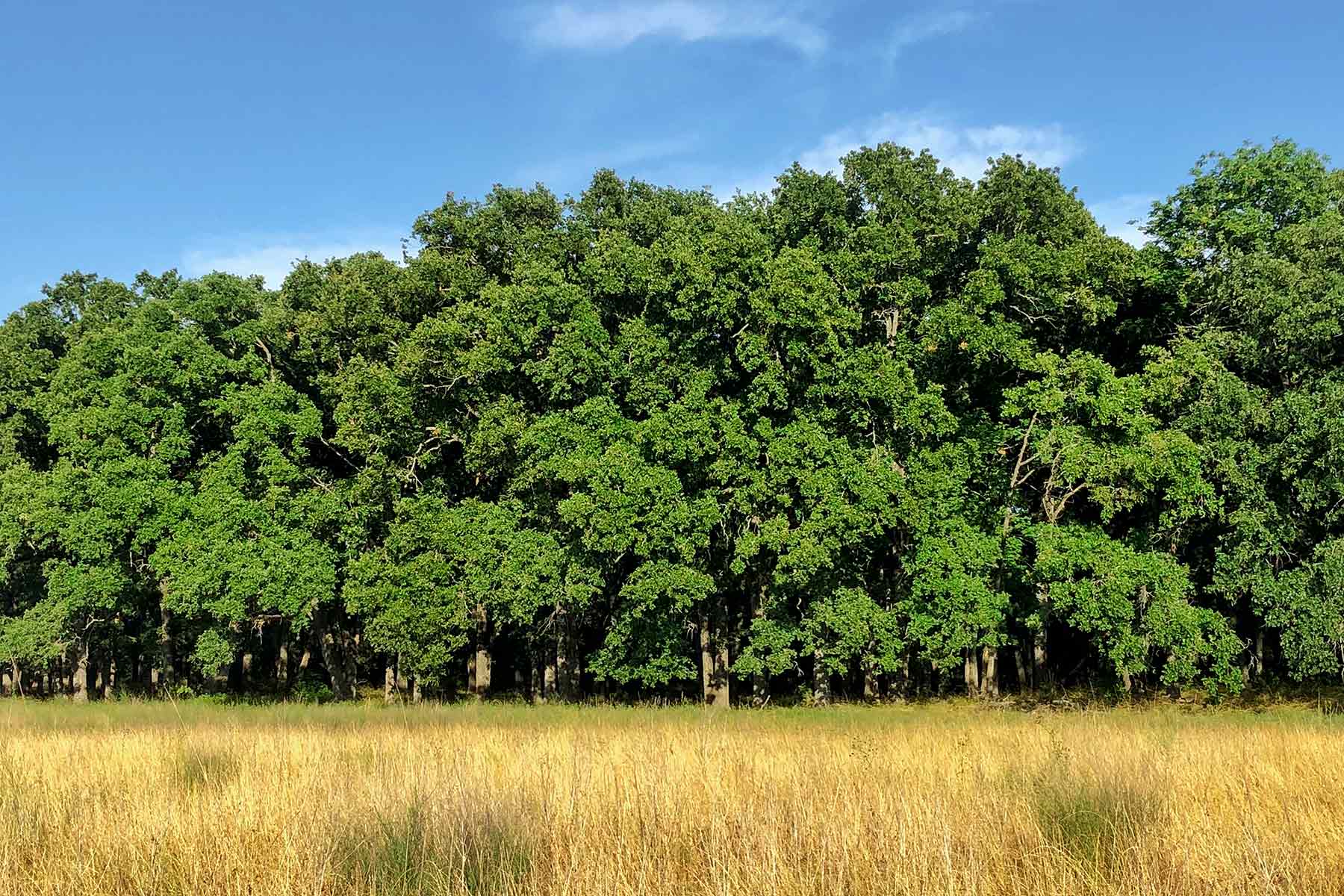 Round Lake Ranch property picture 14 of 43