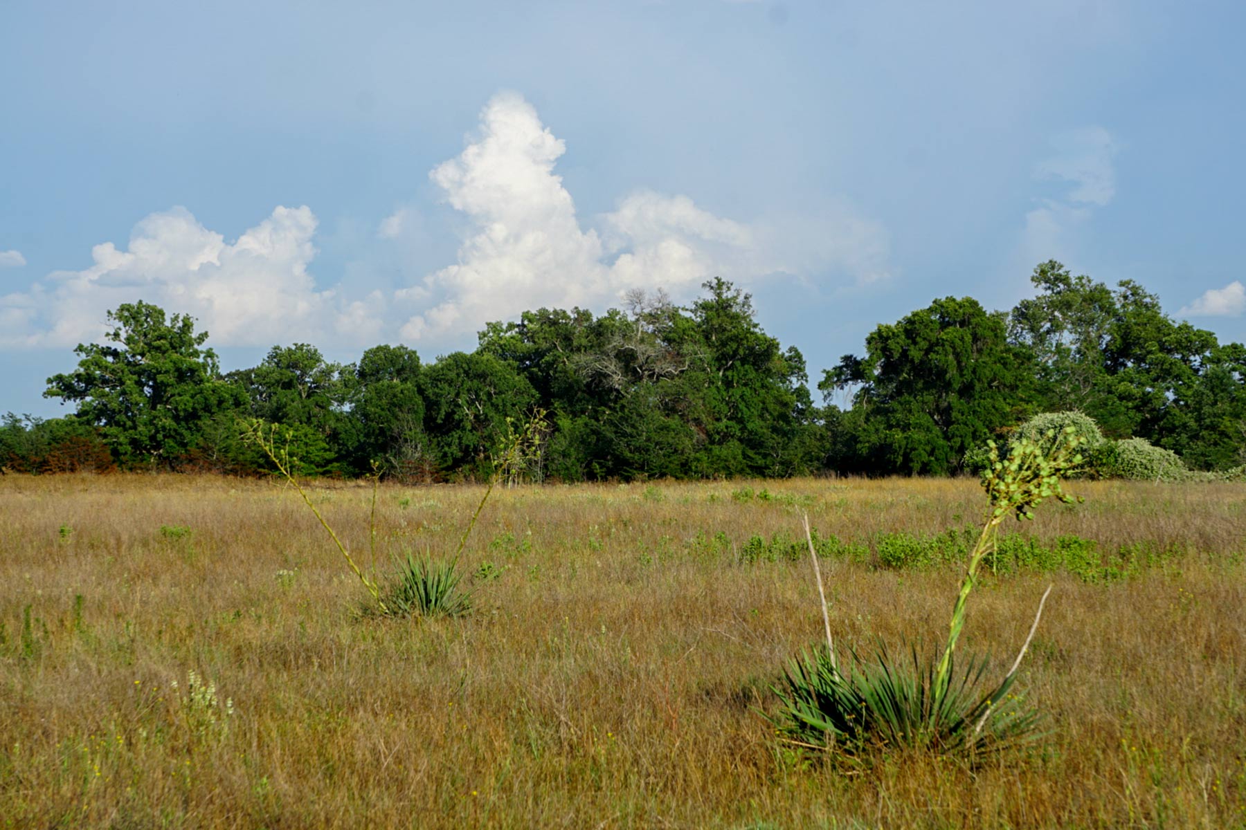 Round Lake Ranch property picture 40 of 43
