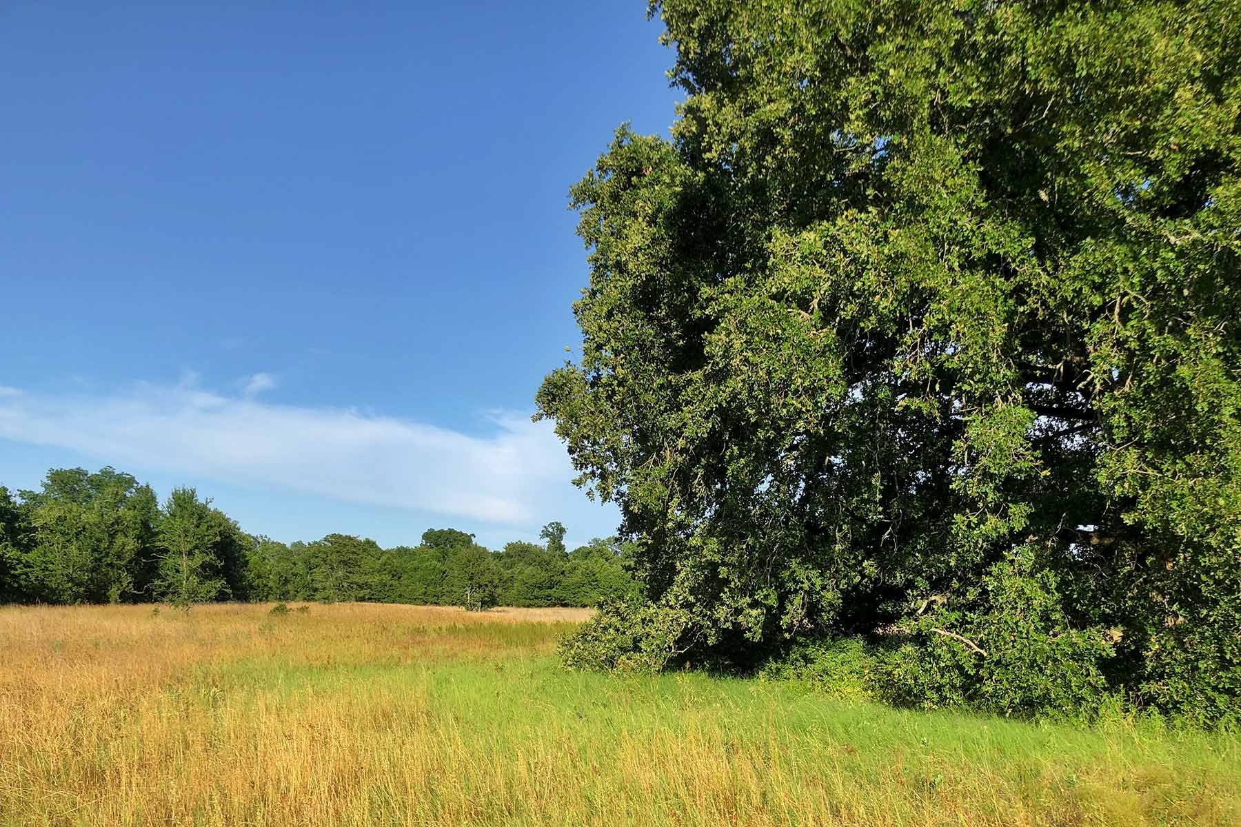 Round Lake Ranch property picture 30 of 43