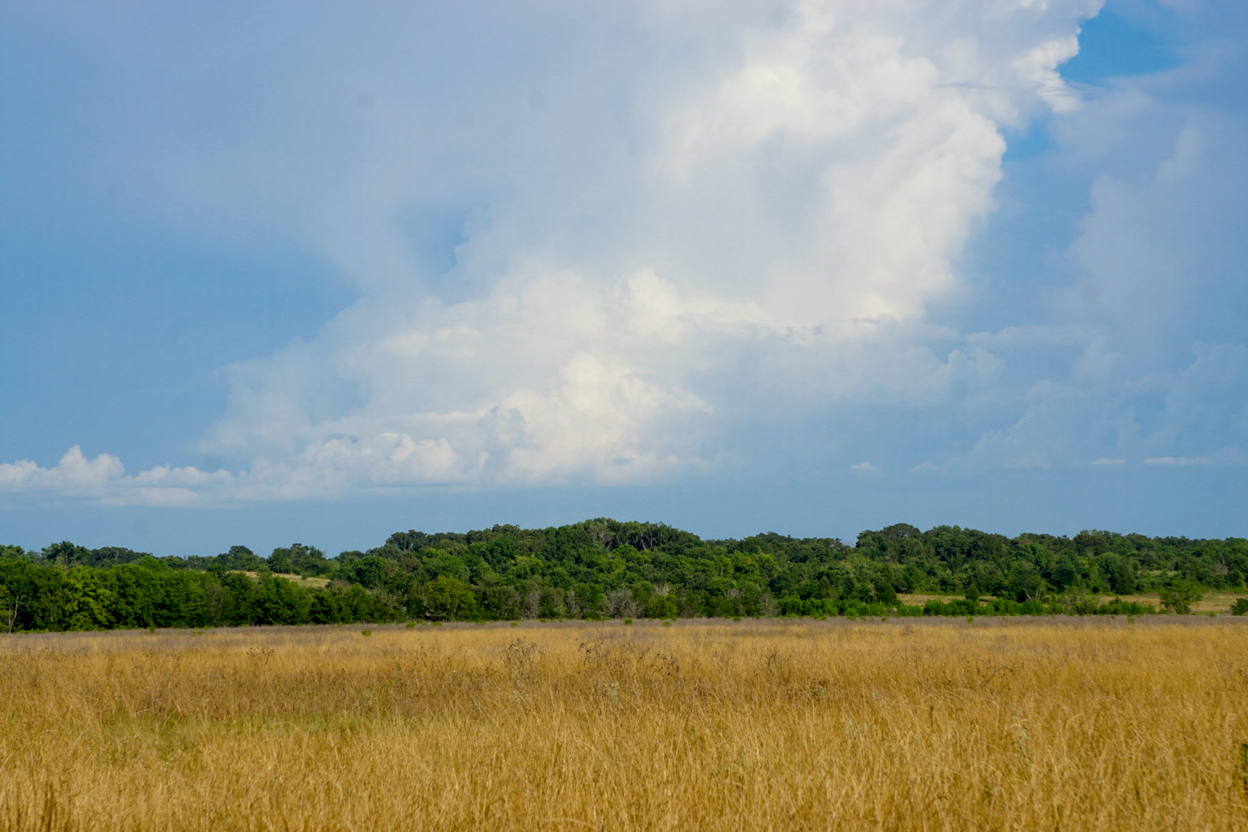 Round Lake Ranch property picture 38 of 43