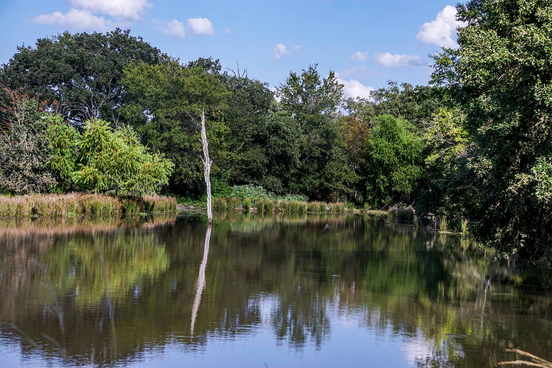 Round Lake Ranch property picture 21 of 43