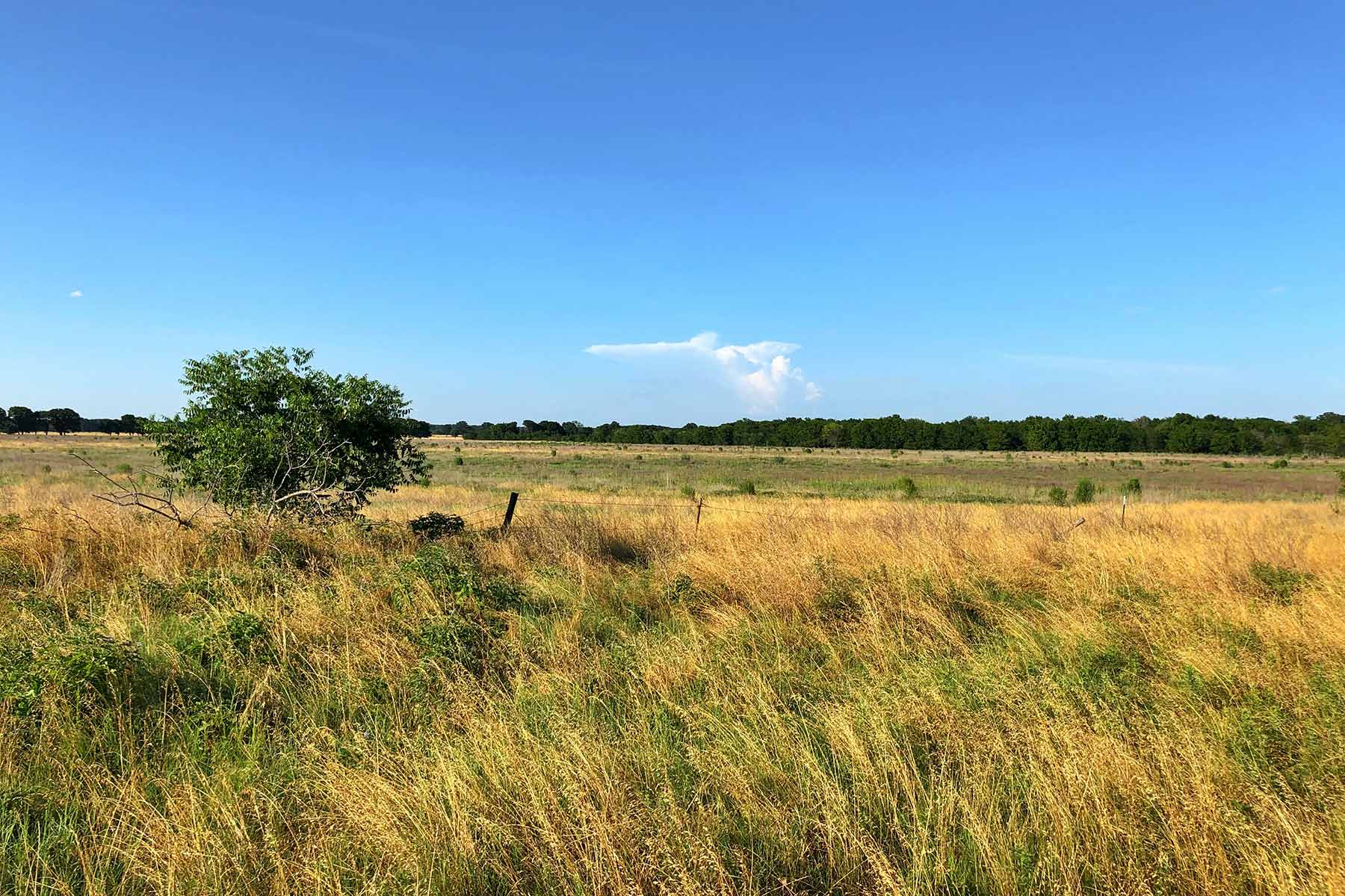 Round Lake Ranch property picture 6 of 43