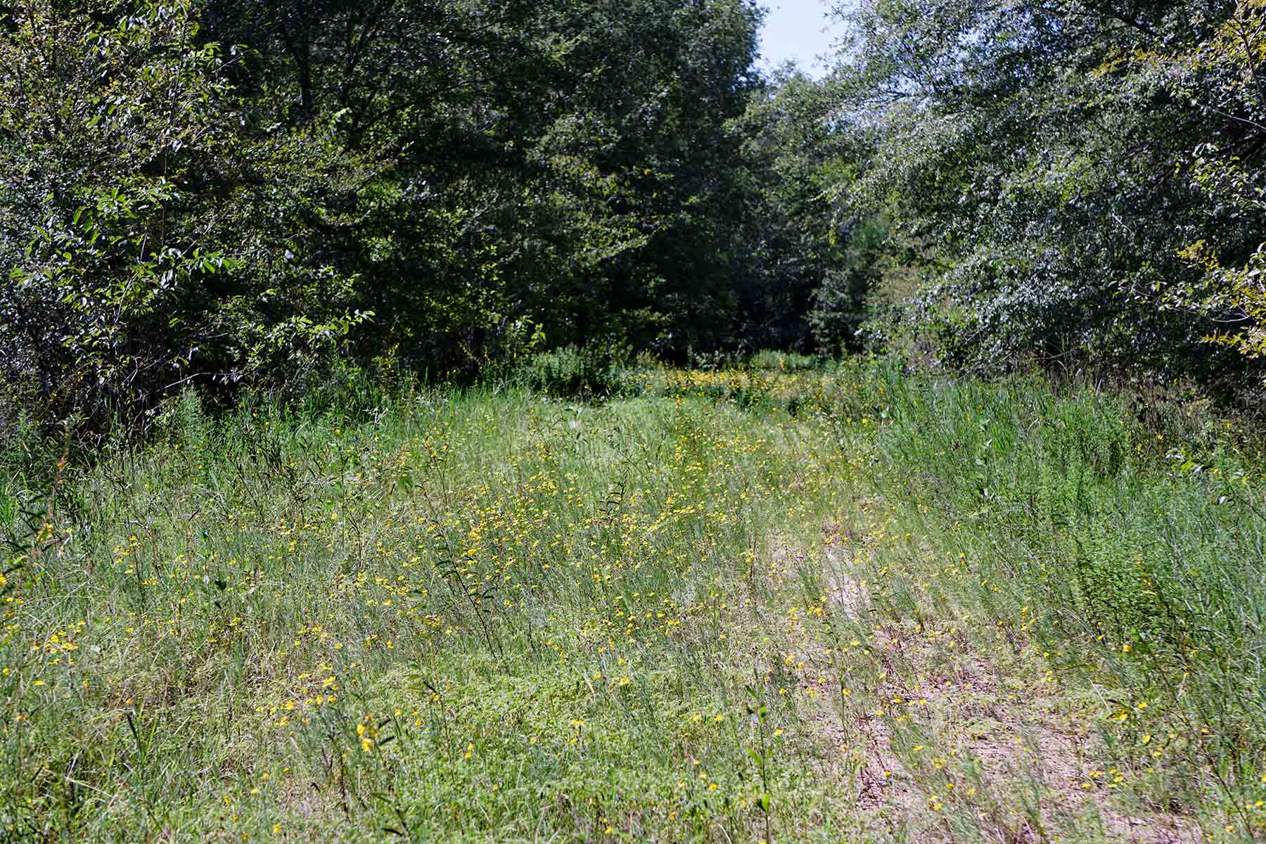 Cayuga Flats Ranch property picture 19 of 26