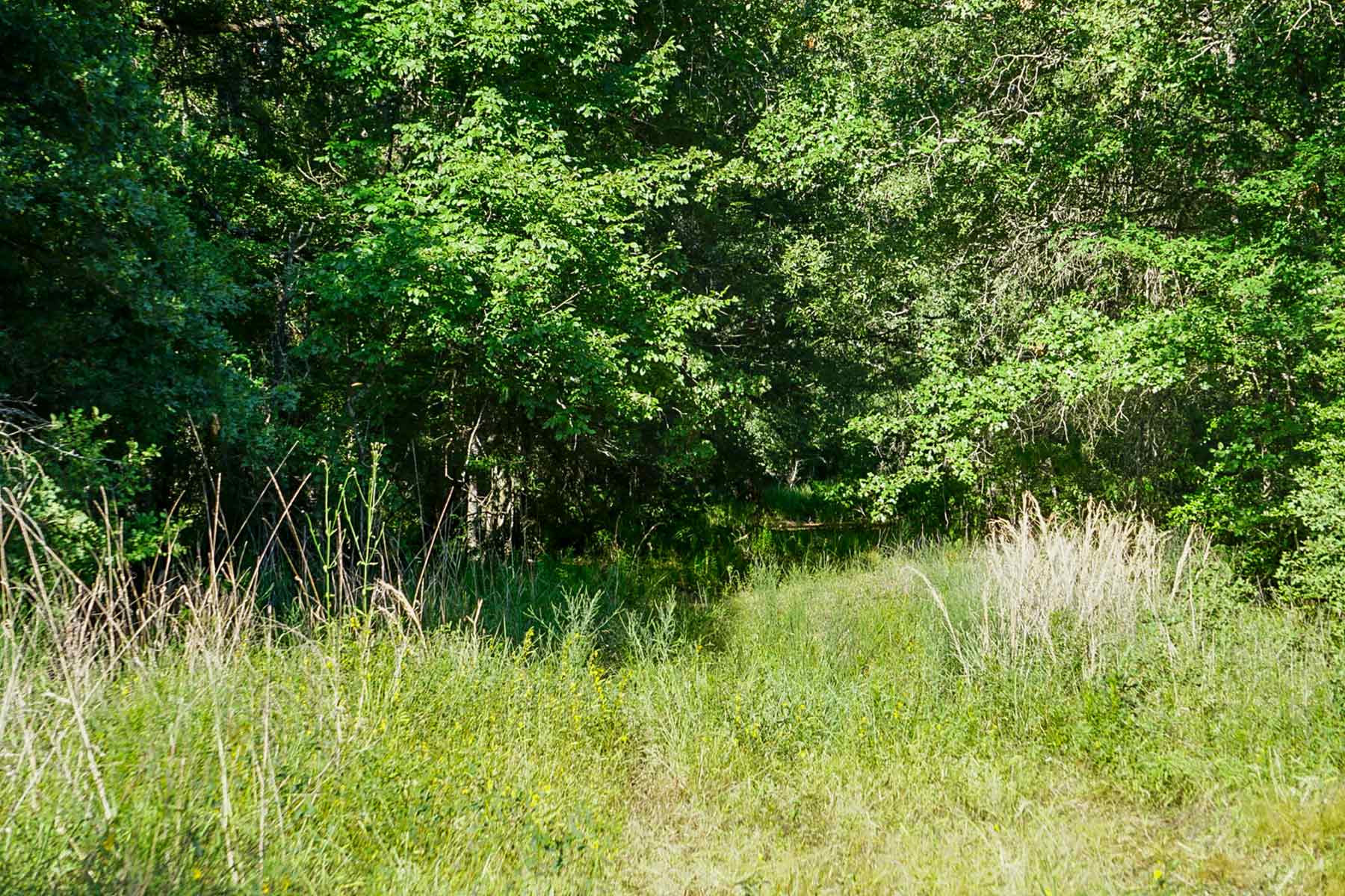 Cayuga Flats Ranch property picture 18 of 26