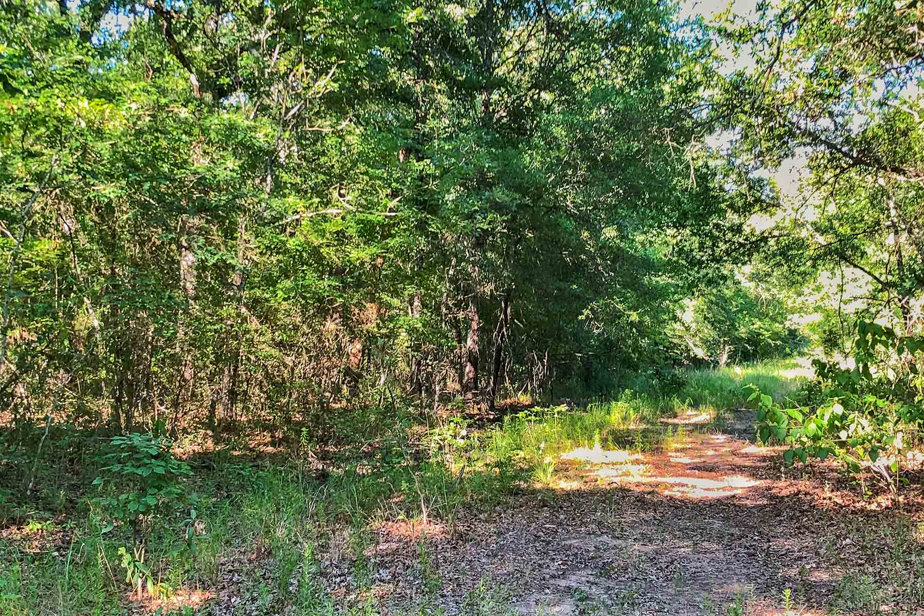 Cayuga Flats Ranch property picture 15 of 26