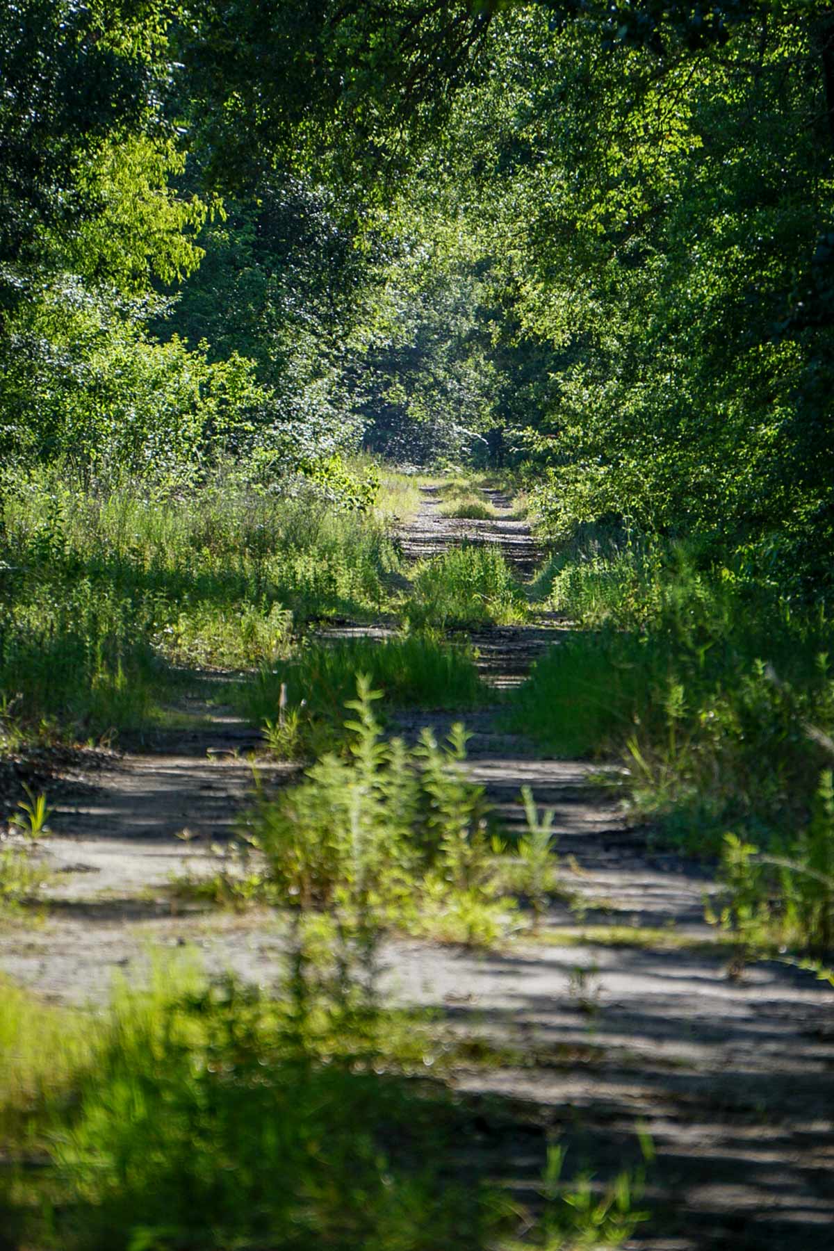 Cayuga Flats Ranch property picture 24 of 26