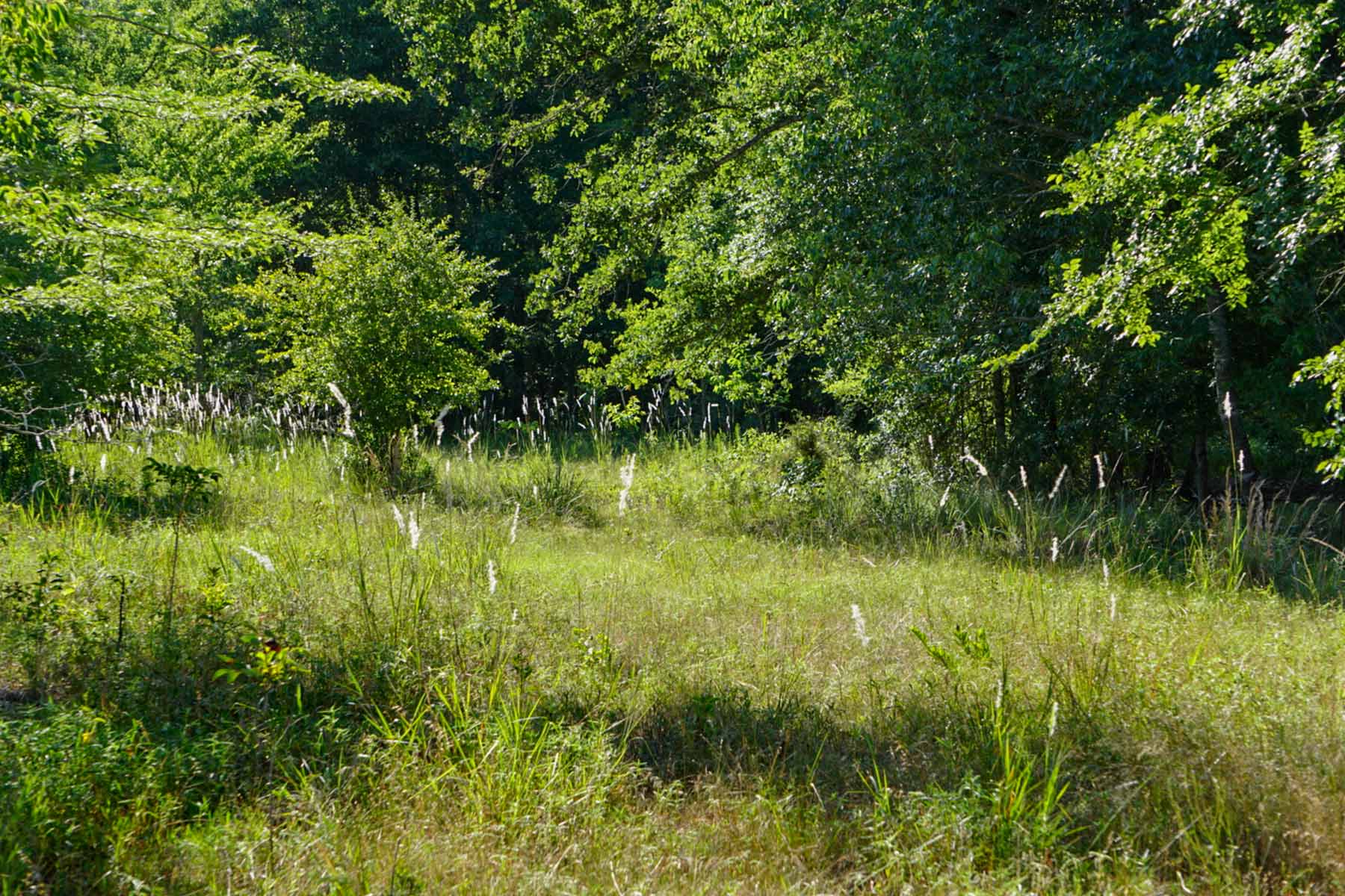 Cayuga Flats Ranch property picture 23 of 26