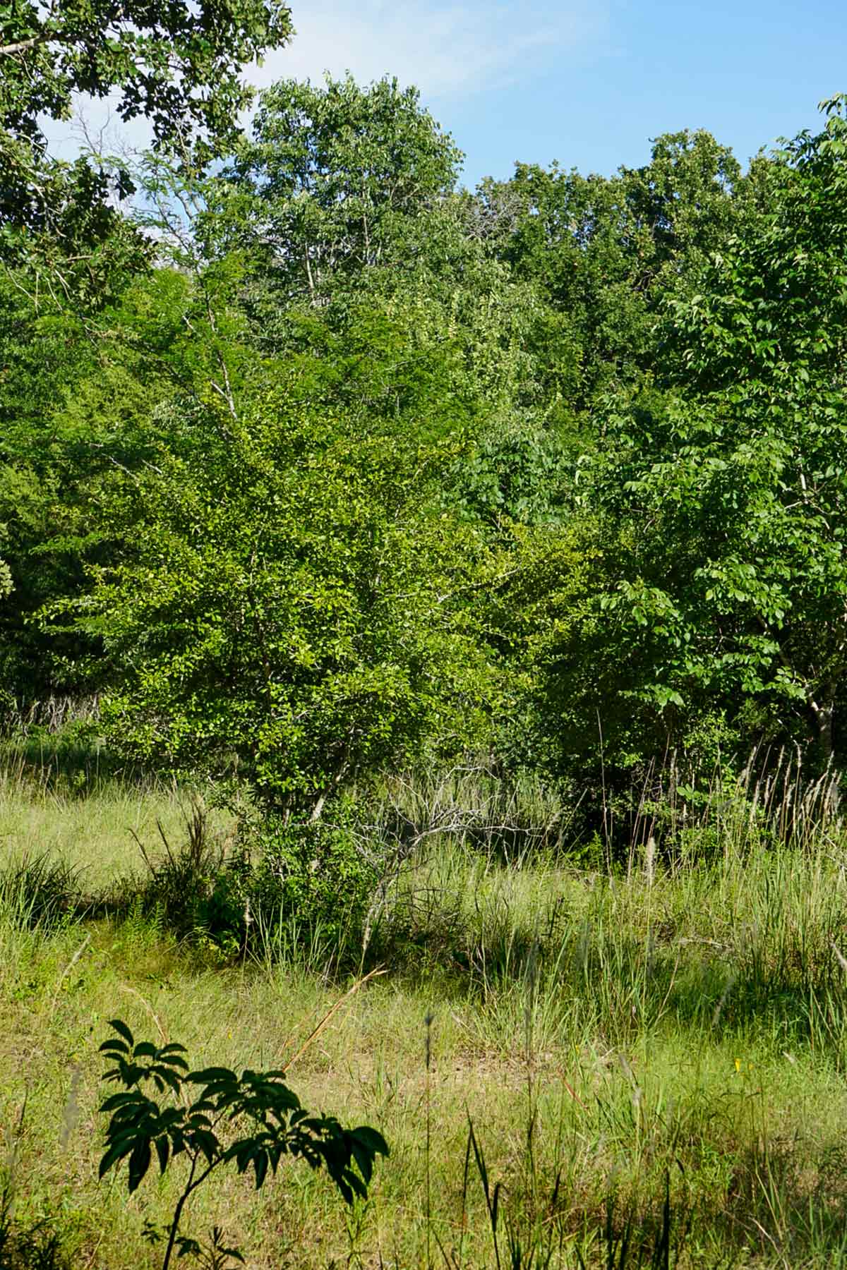 Cayuga Flats Ranch property picture 25 of 26