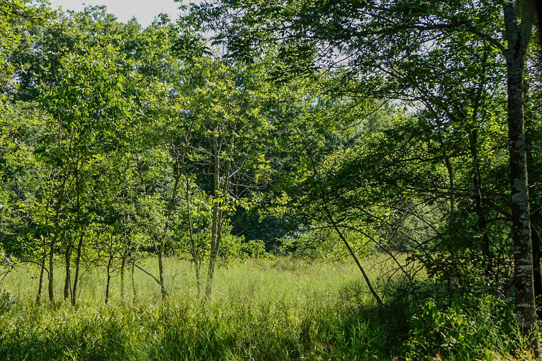Cayuga Flats Ranch property picture 11 of 26