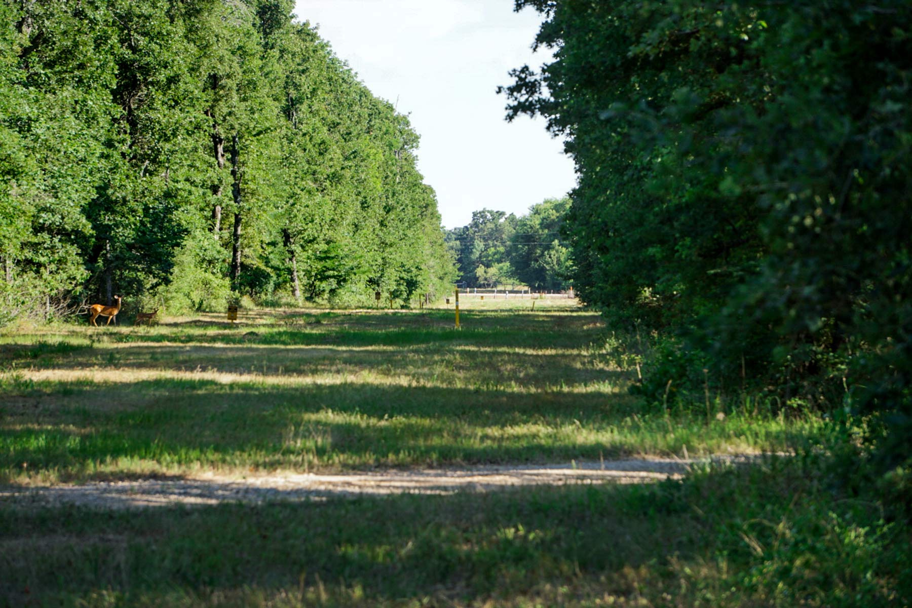 Cayuga Flats Ranch property picture 21 of 26