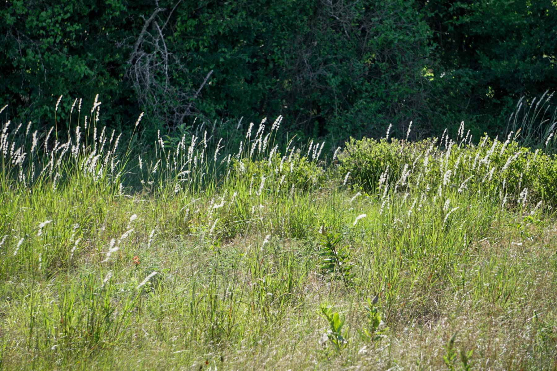 Cayuga Flats Ranch property picture 17 of 26
