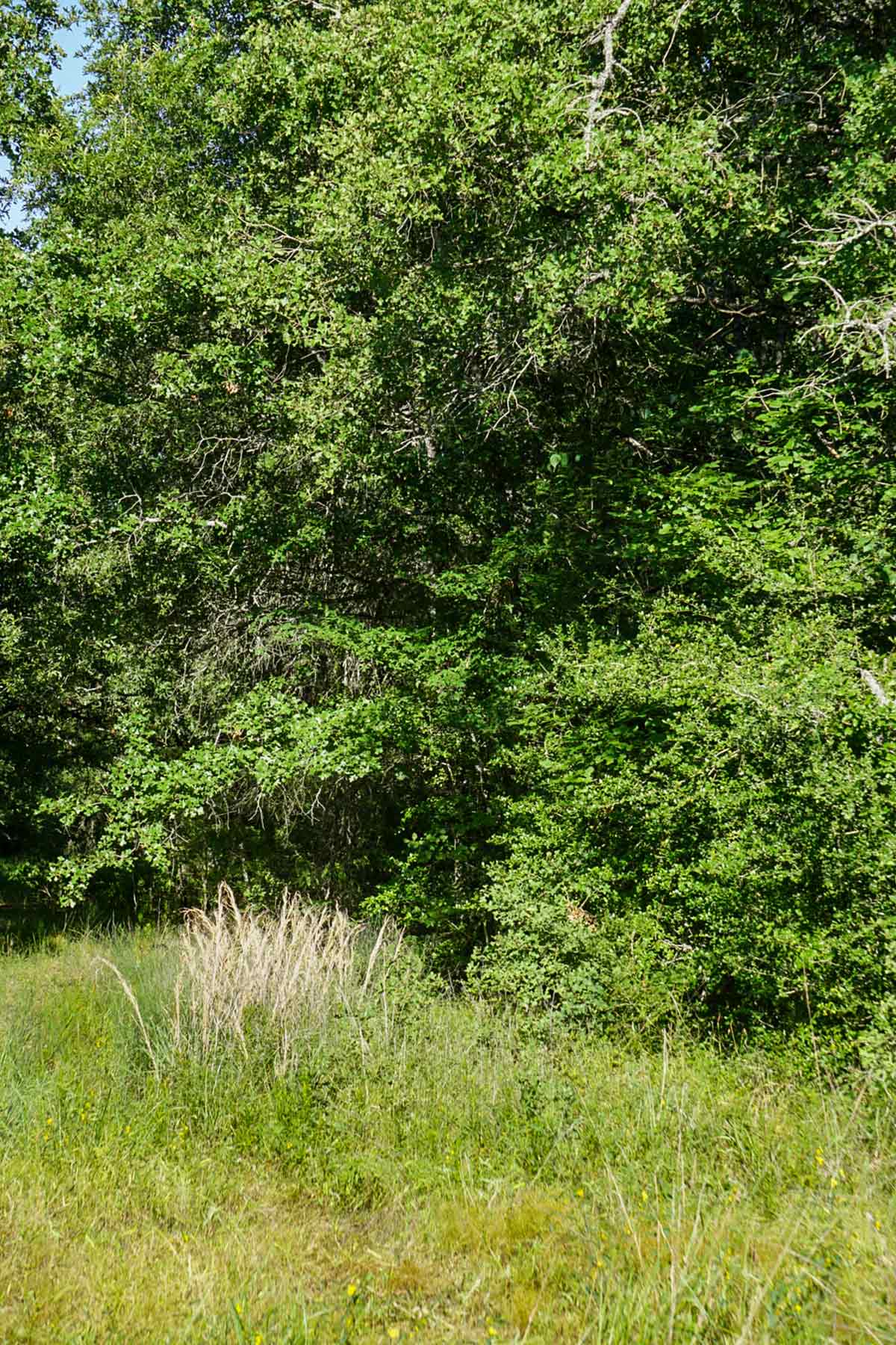 Cayuga Flats Ranch property picture 22 of 26
