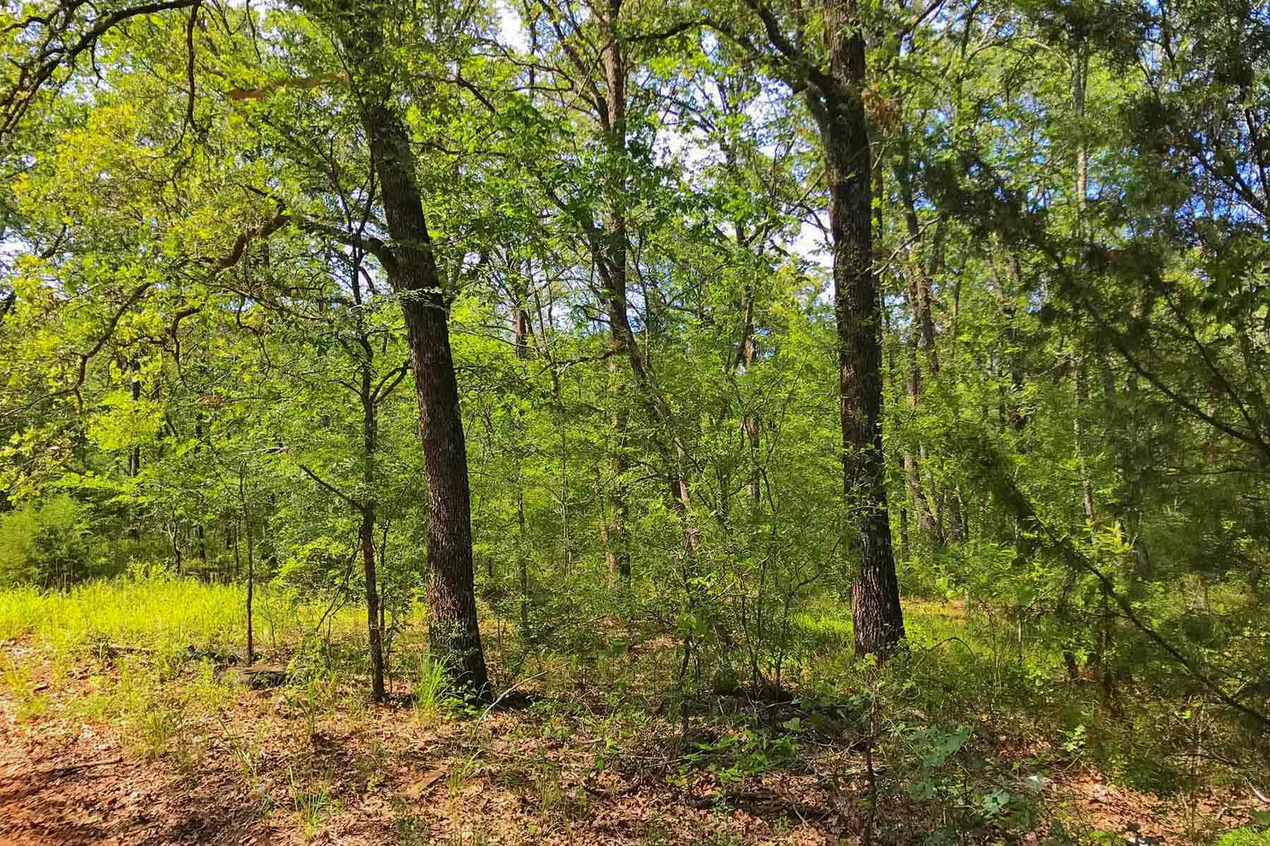 Cayuga Flats Ranch property picture 12 of 26