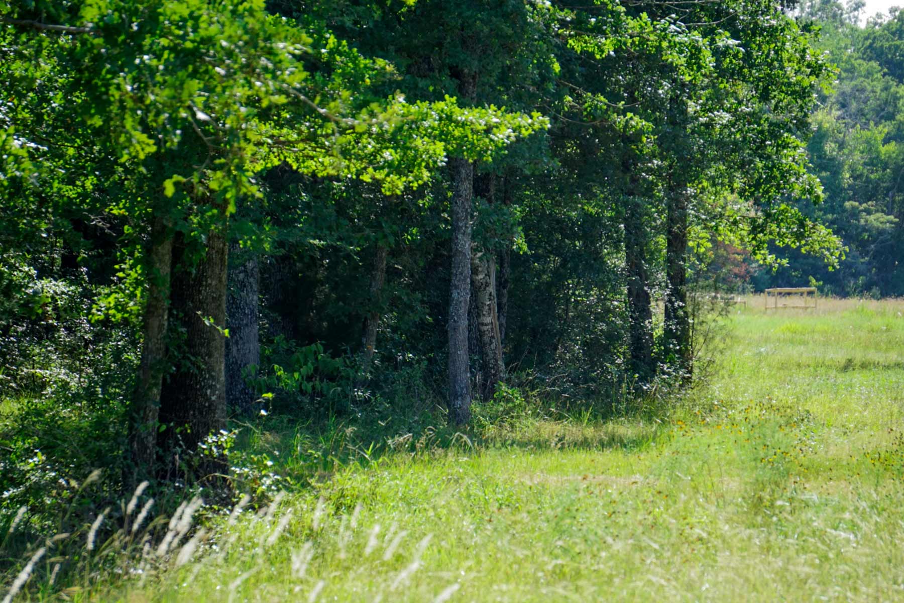 Cayuga Flats Ranch property picture 4 of 26