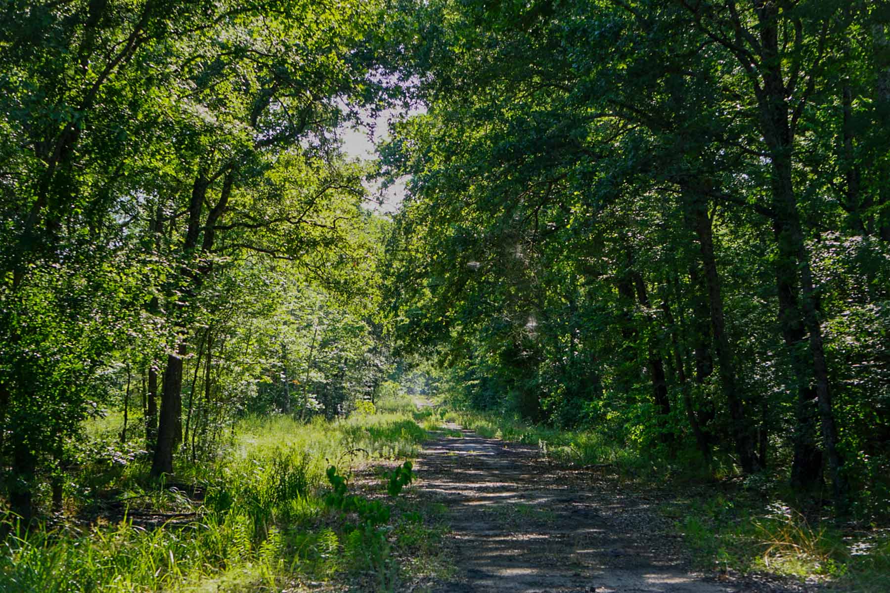 Cayuga Flats Ranch property picture 14 of 26