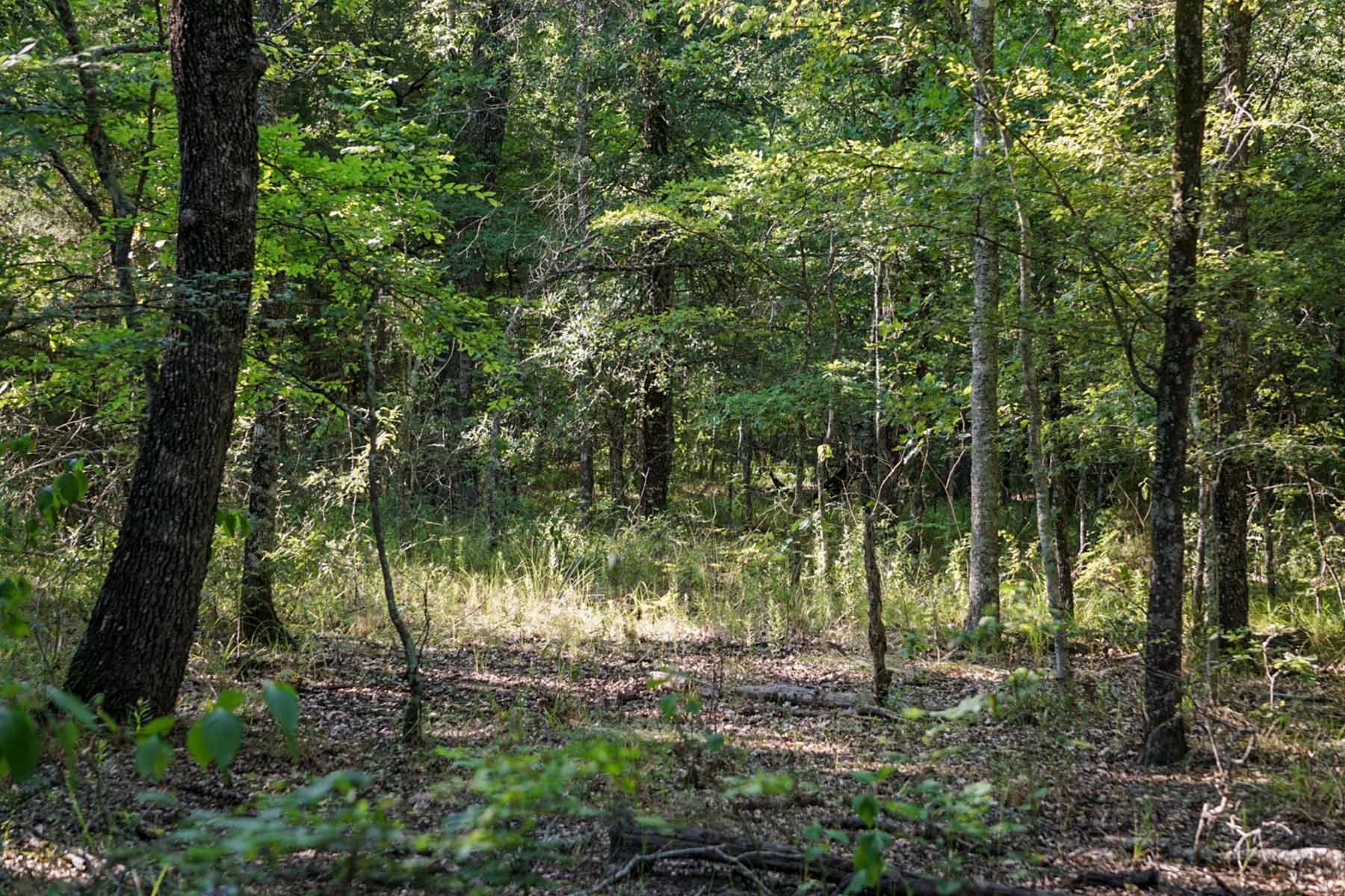 Cayuga Flats Ranch property picture 26 of 26