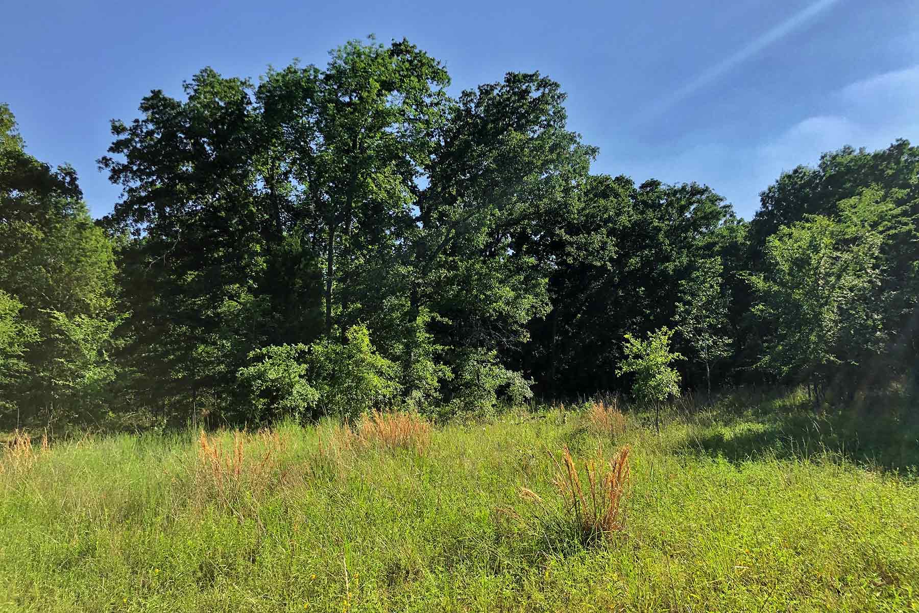 Cayuga Flats Ranch property picture 6 of 26