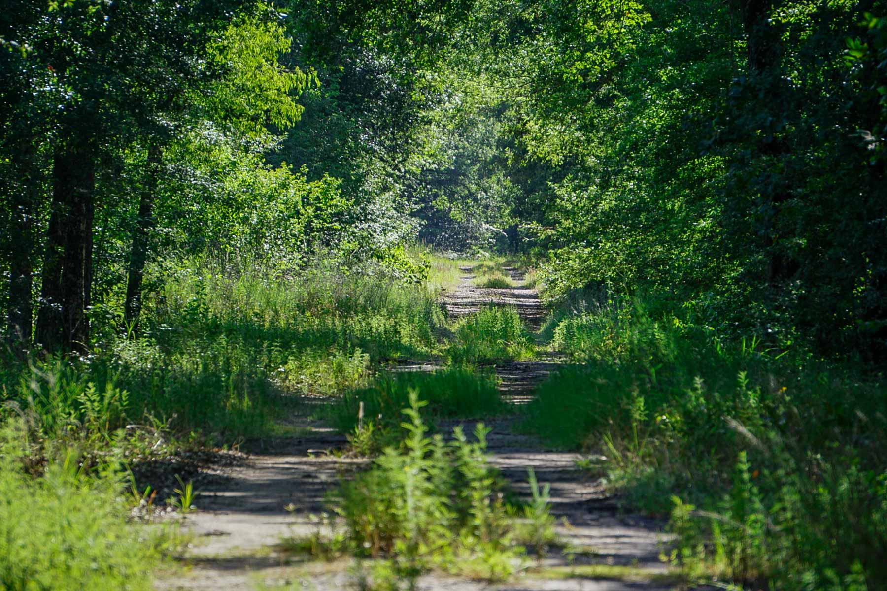 Cayuga Flats Ranch property picture 8 of 26