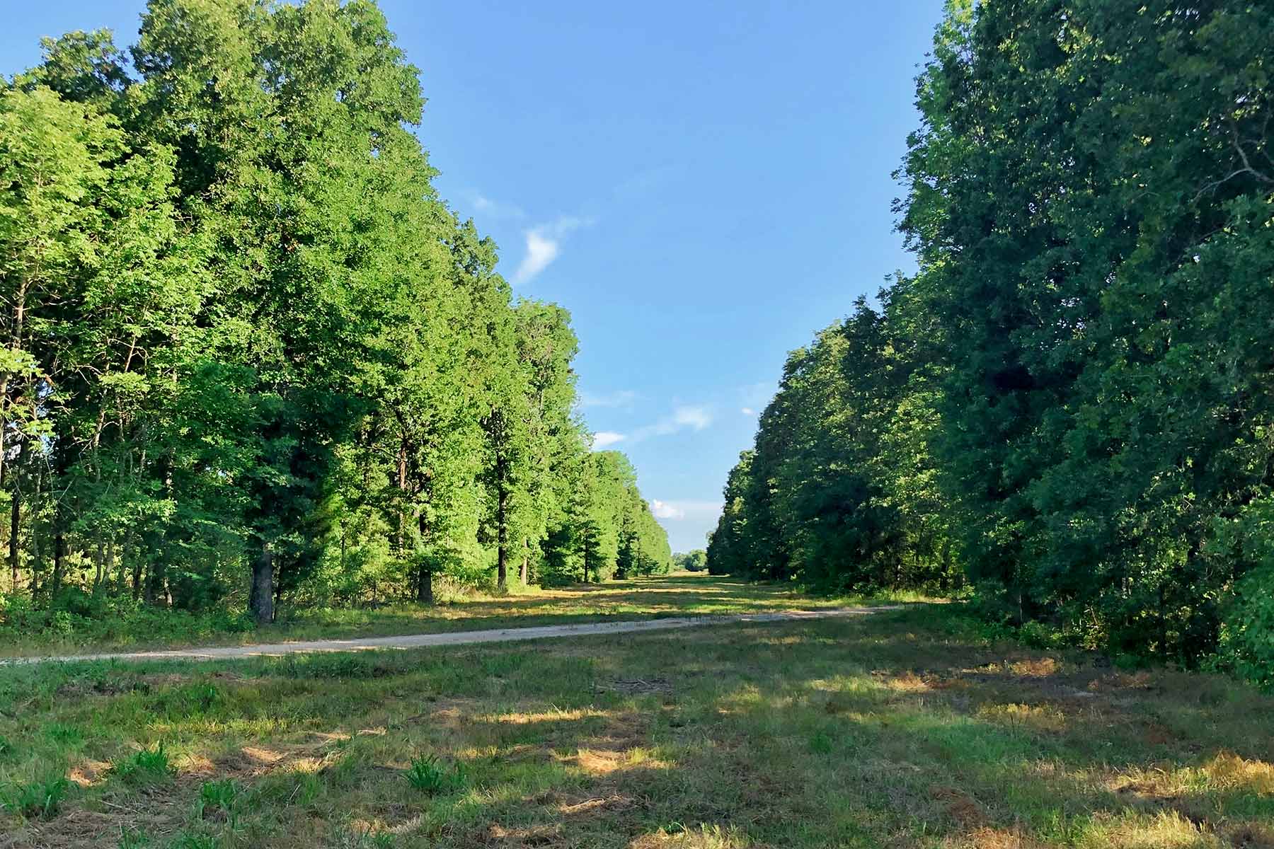 Cayuga Flats Ranch property picture 10 of 26