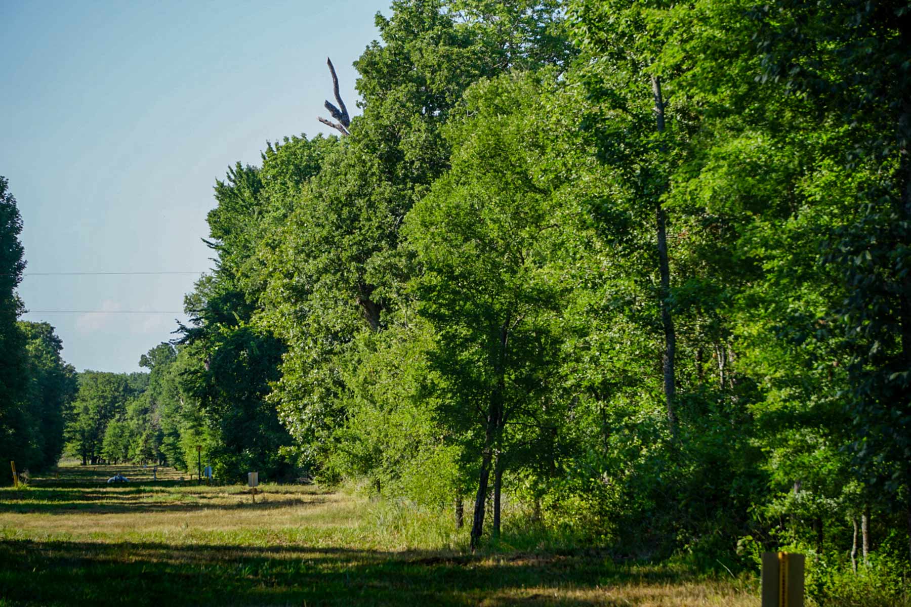 Cayuga Flats Ranch property picture 16 of 26